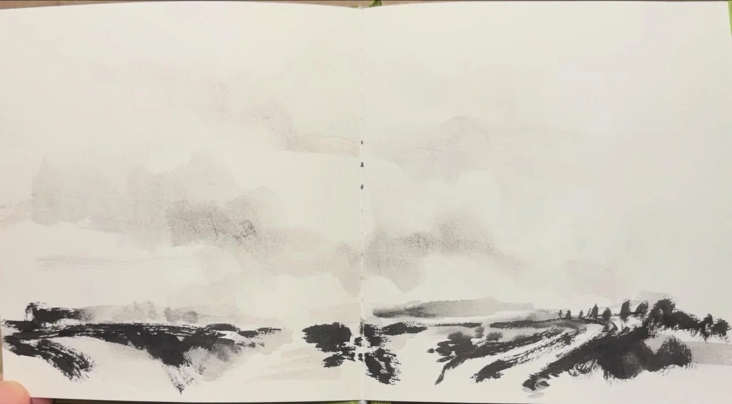 Launching back into some landscape studies. #landscape #blackandwhite #paths #pathways #landscapeart