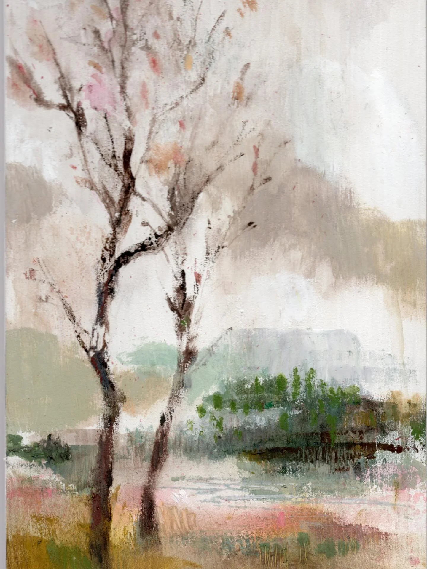 March holds on to windy days as tightly as possible. Exploring some muted color ways. 
#trees #march #mutedtones #treestagram #painted