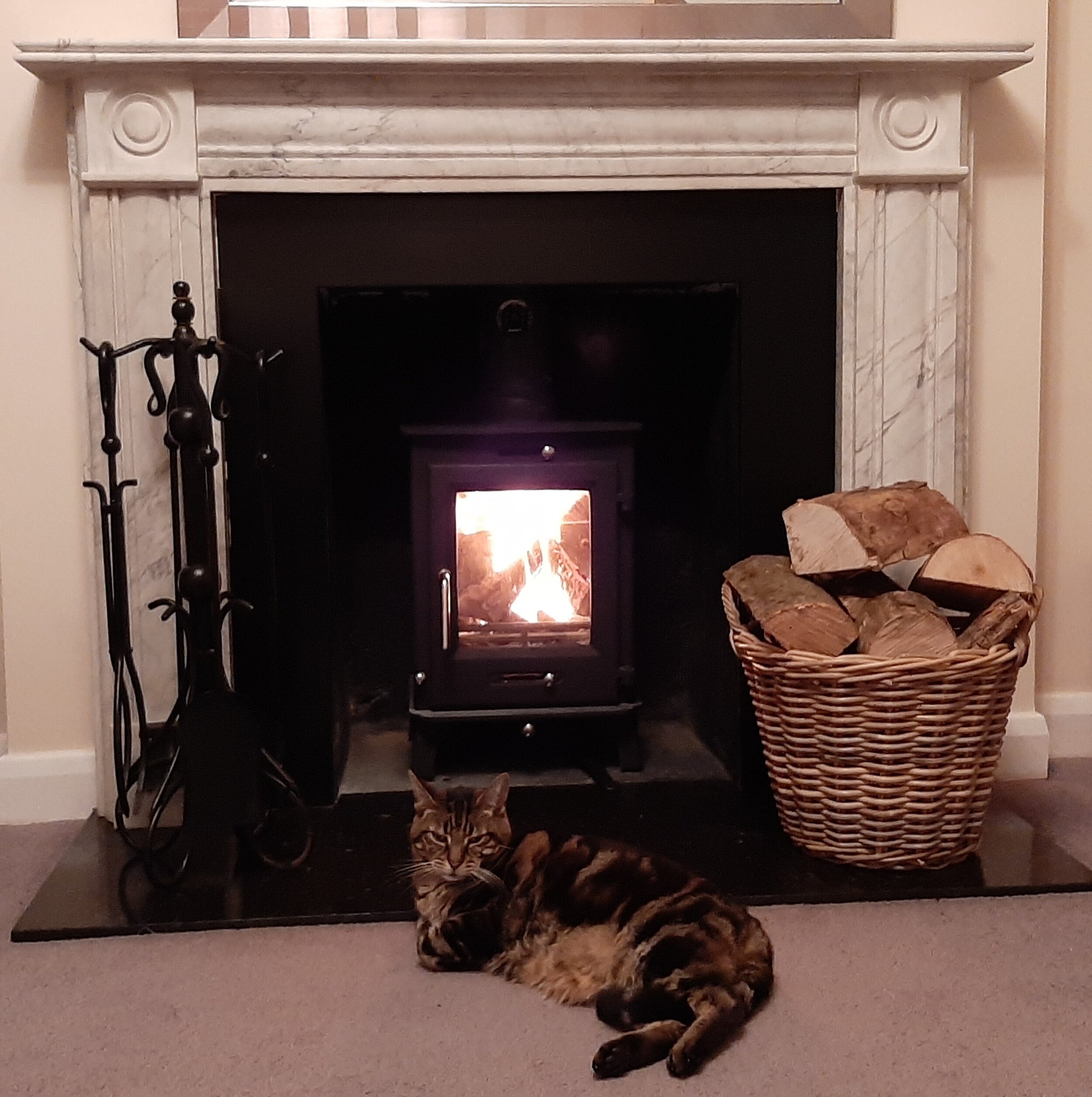 Fireplace with cat.jpg