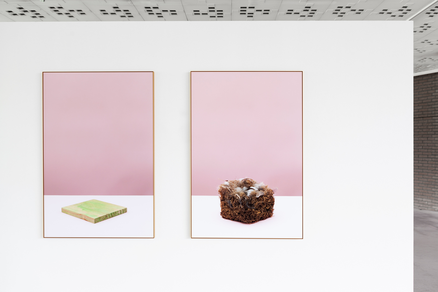 Sarah Van Marcke, ‘The Molding Principle’, 2017, 90cmx60cm each, inkjet on fine art paper, mounted on dibond framed in aluminium frame, Courtesy of the artist