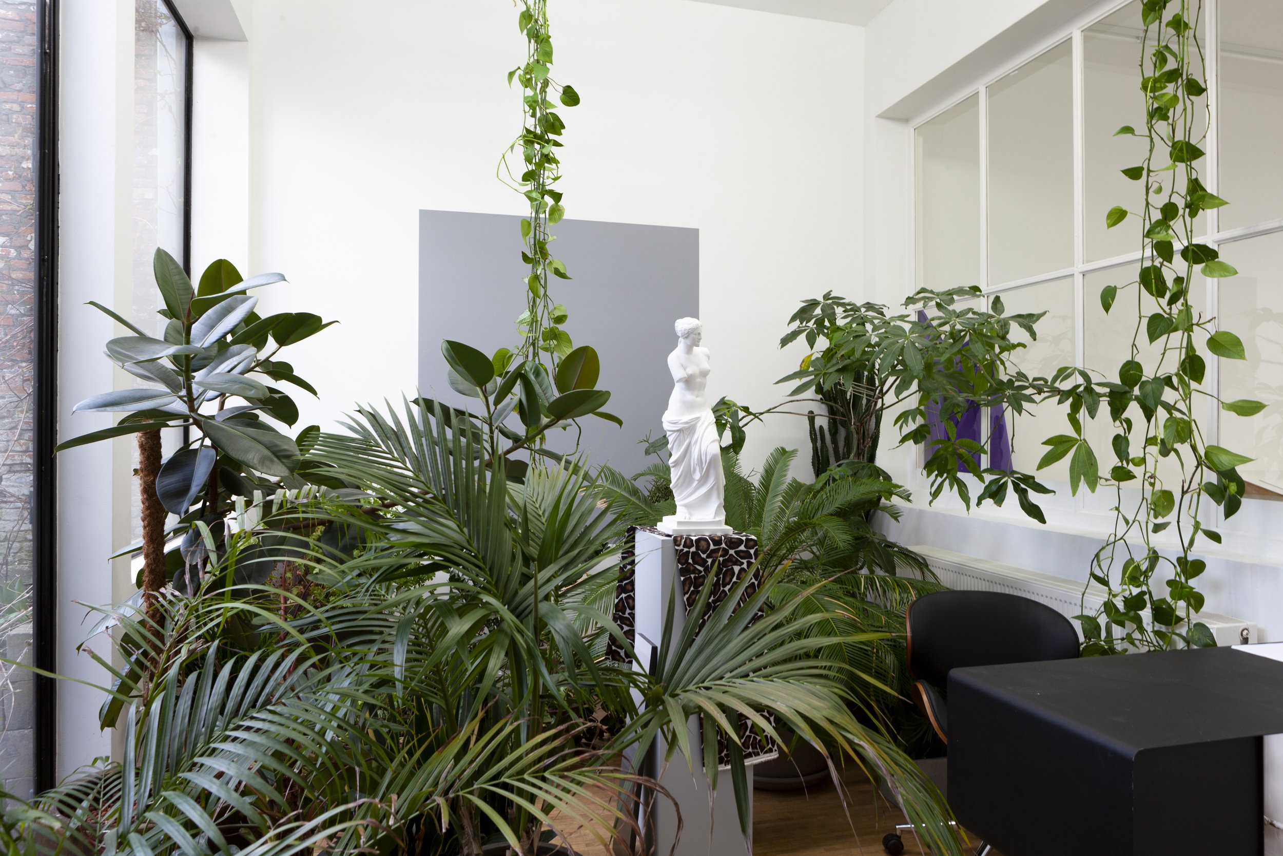 SMV - all the gallery owner's plants2.jpg