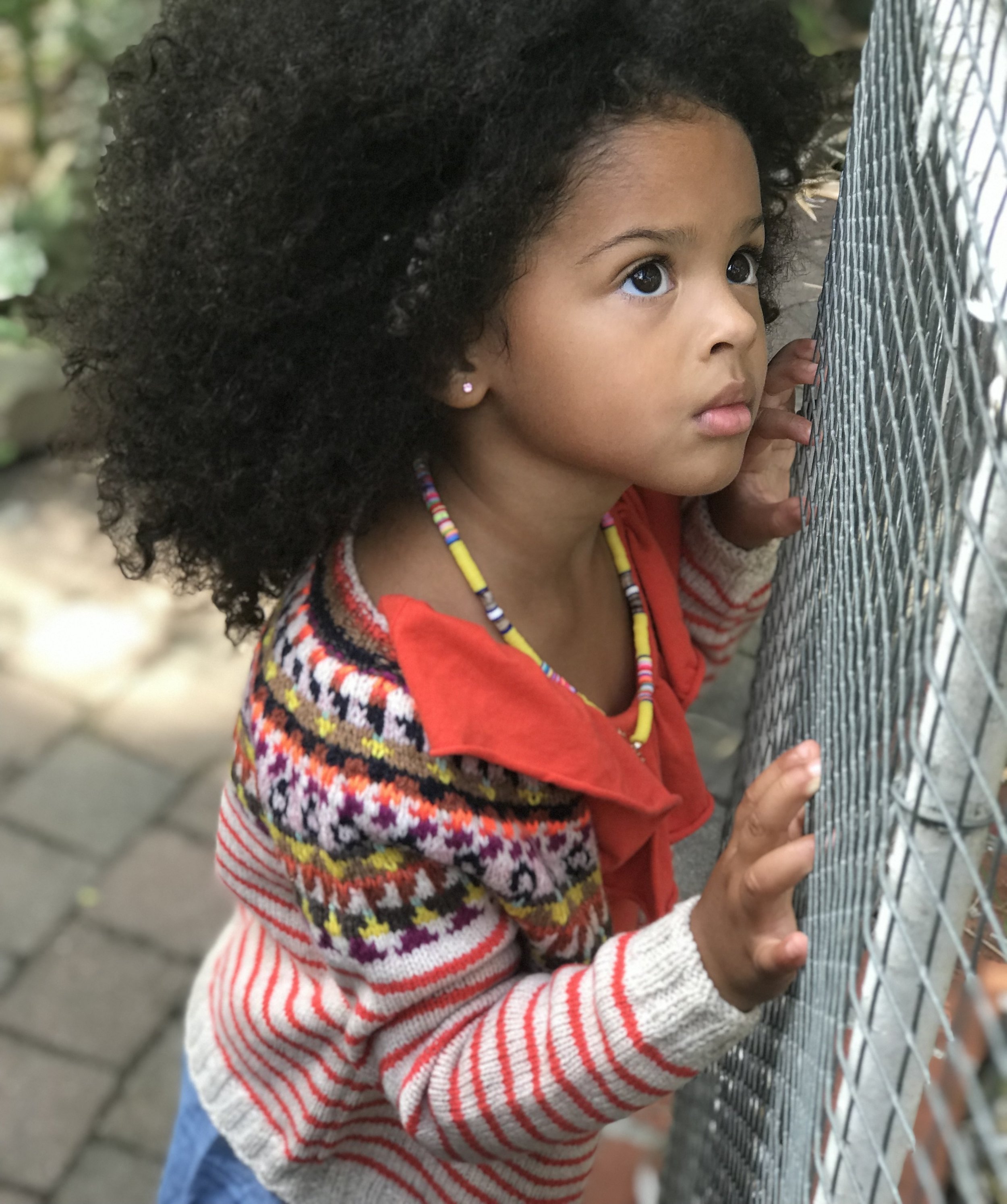 image1-3.jpeg