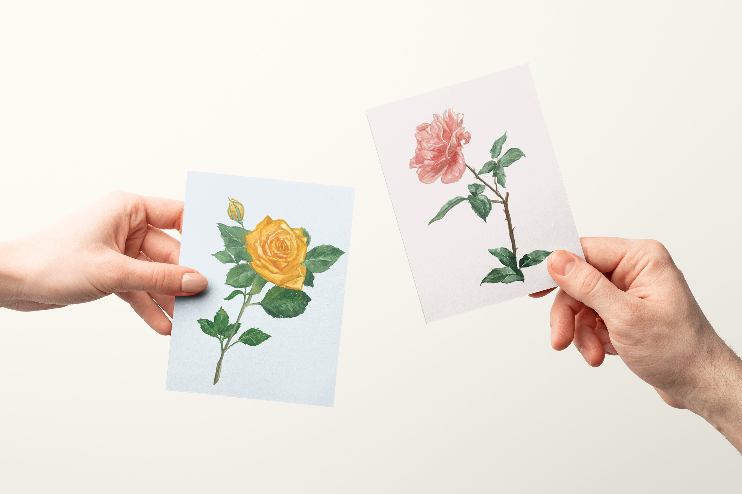 A2 Rose Cards Mock with Hands.jpg