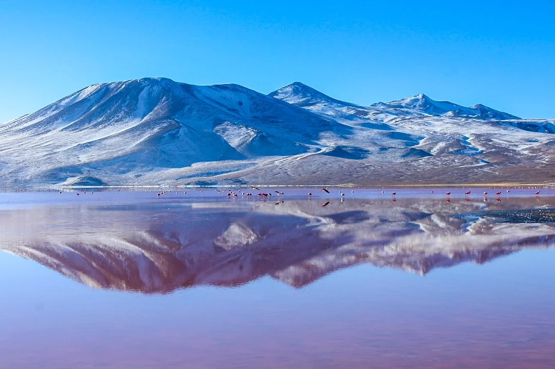 Laguna Colorada in the Altiplano, Bolivia, near Salar de Uyuni