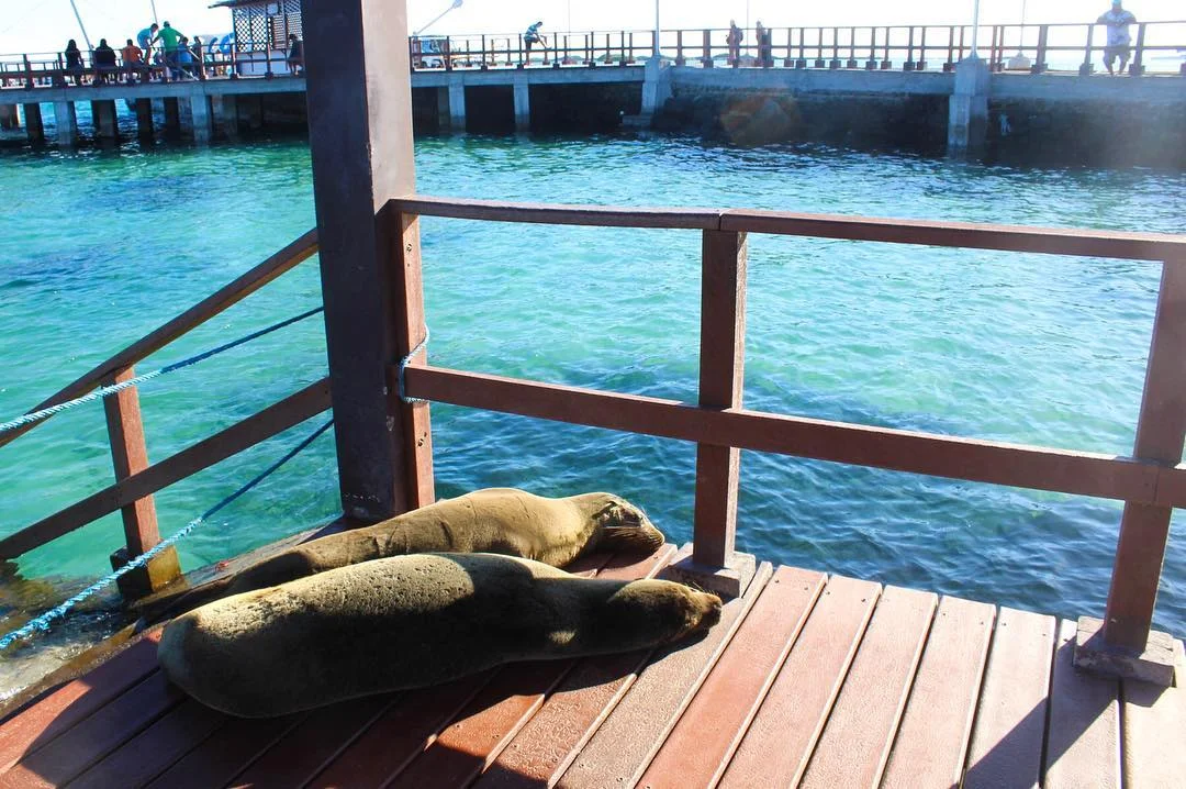 Budget travel blog island guide to Santa Cruz, the Galapagos Islands