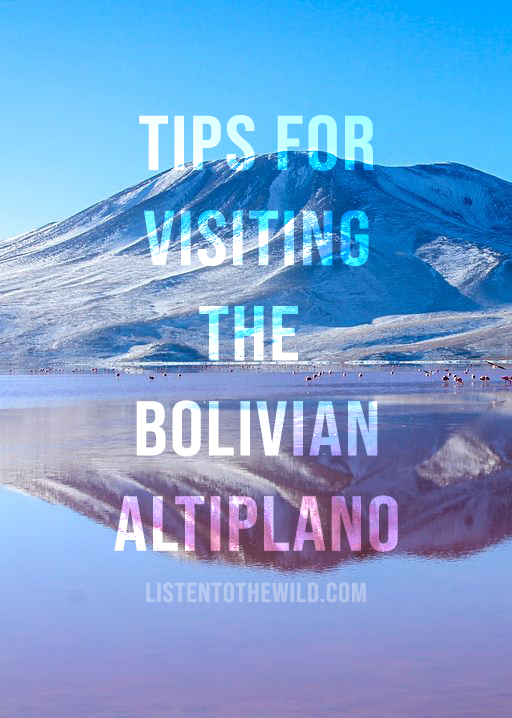 Travel blog guide to visiting the salt flats, laguna colorada and laguna verde in the altiplano, Bolivia