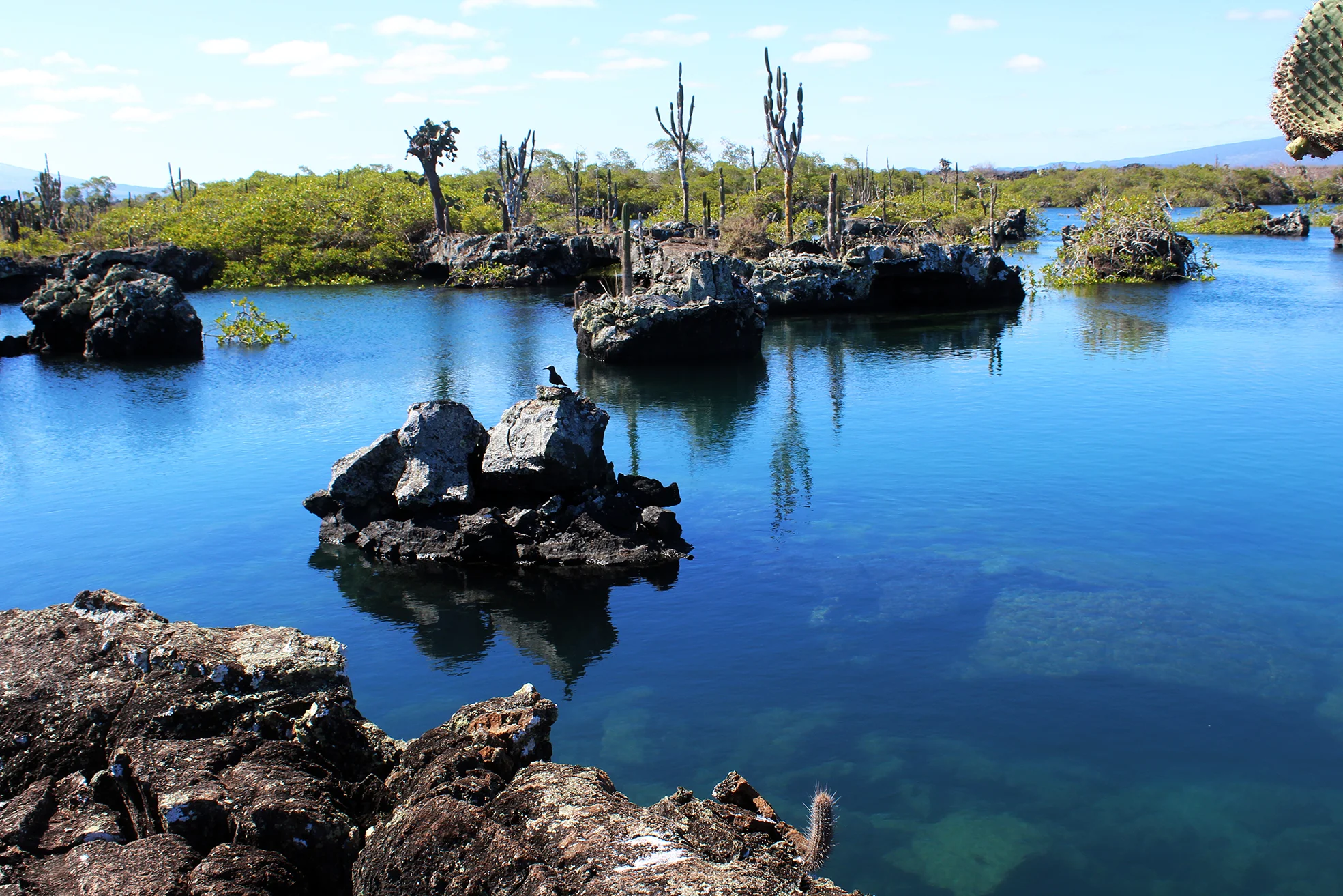 Full travel blog guide to Los Tuneles, things to do on Isla Isabela, Galapagos Islands. Budget travel galapagos islands.