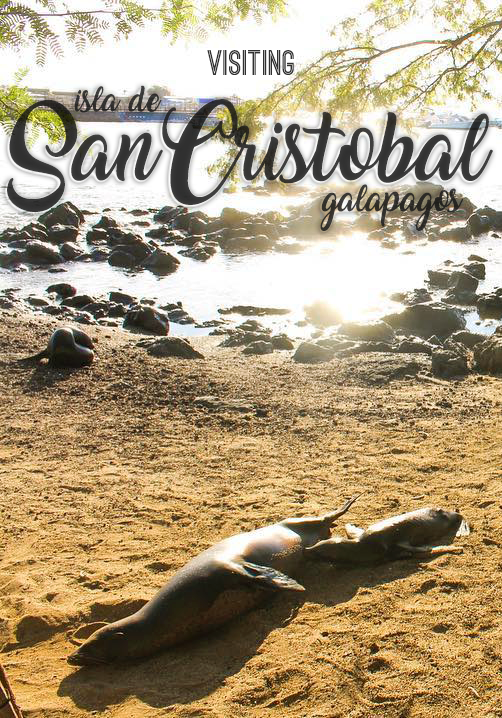 Full travel blog guide to San Cristobal, the Galapagos Islands, Ecuador on a budget