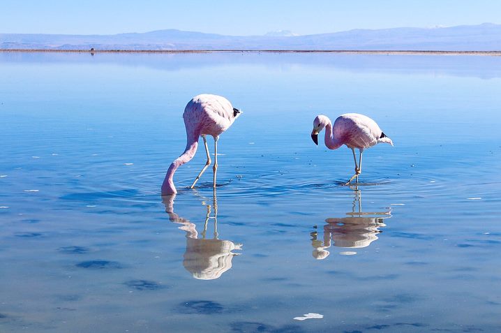atacama-desert-blog.jpg