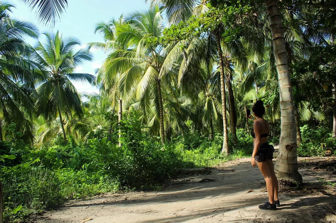 parque-tayrona.png