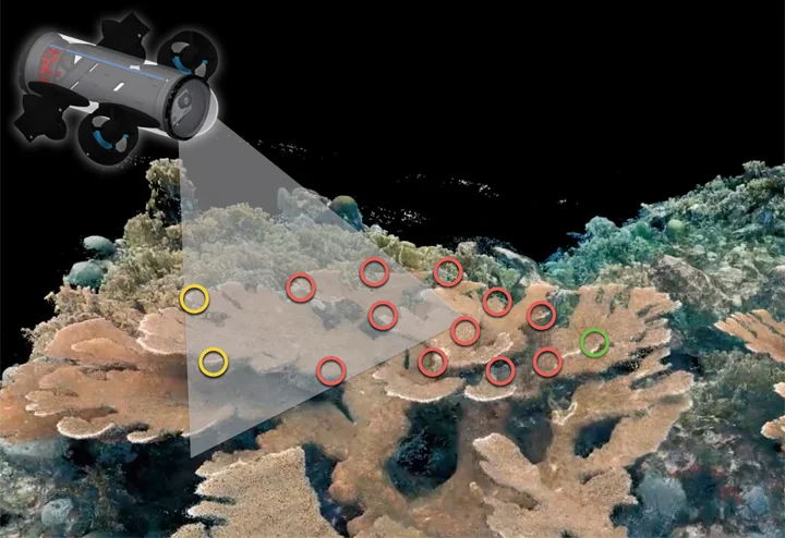 corals_thumb.jpg