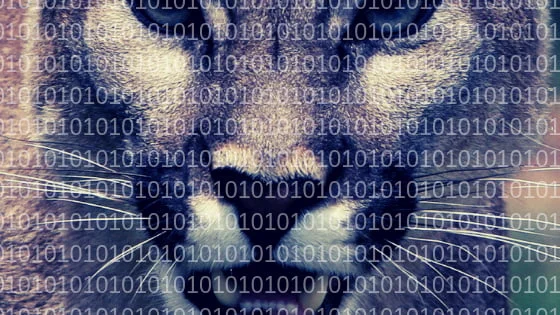 Devouring Data Data is devouring your drama — dansalva