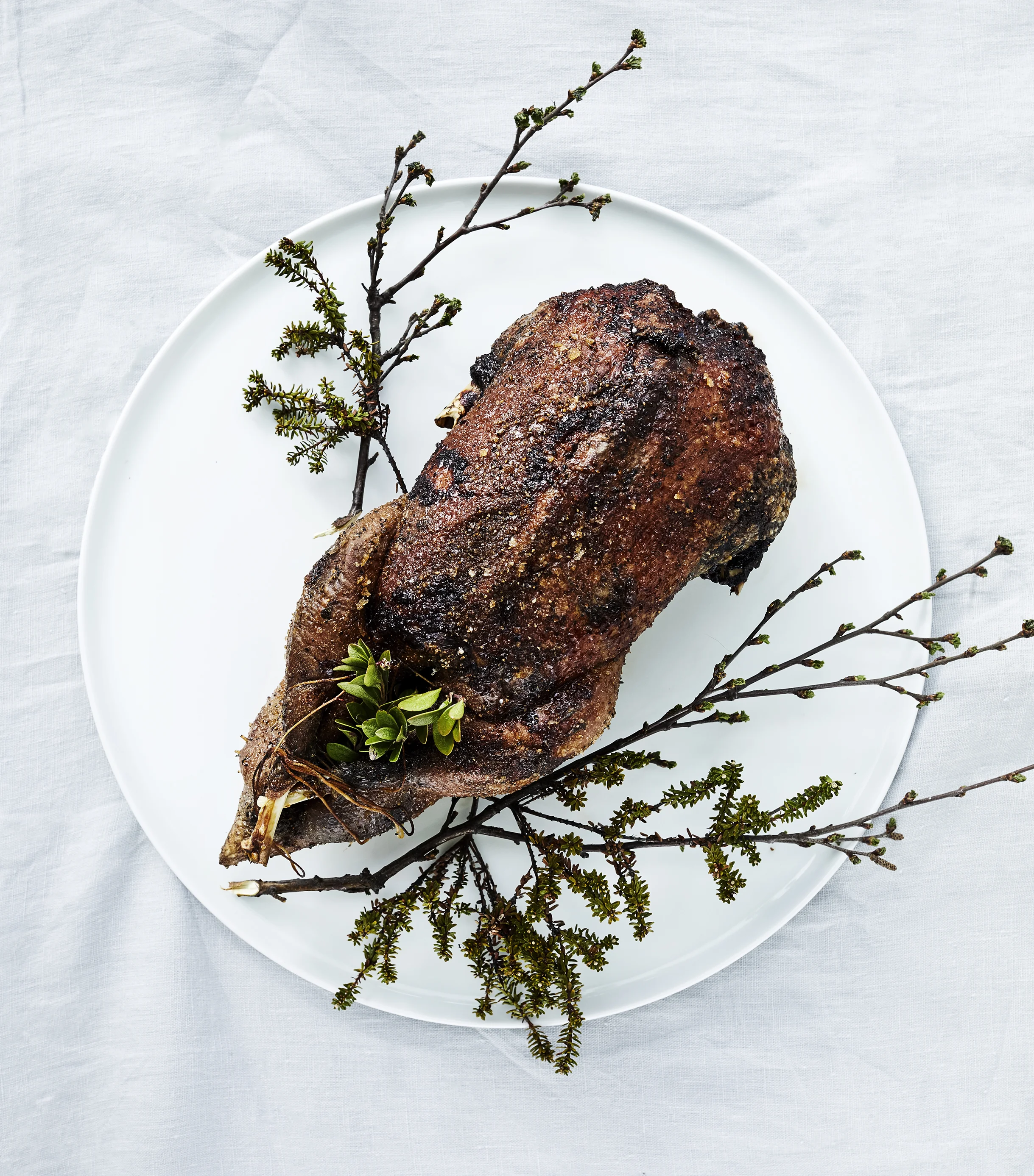 From the heath - Goose.jpg