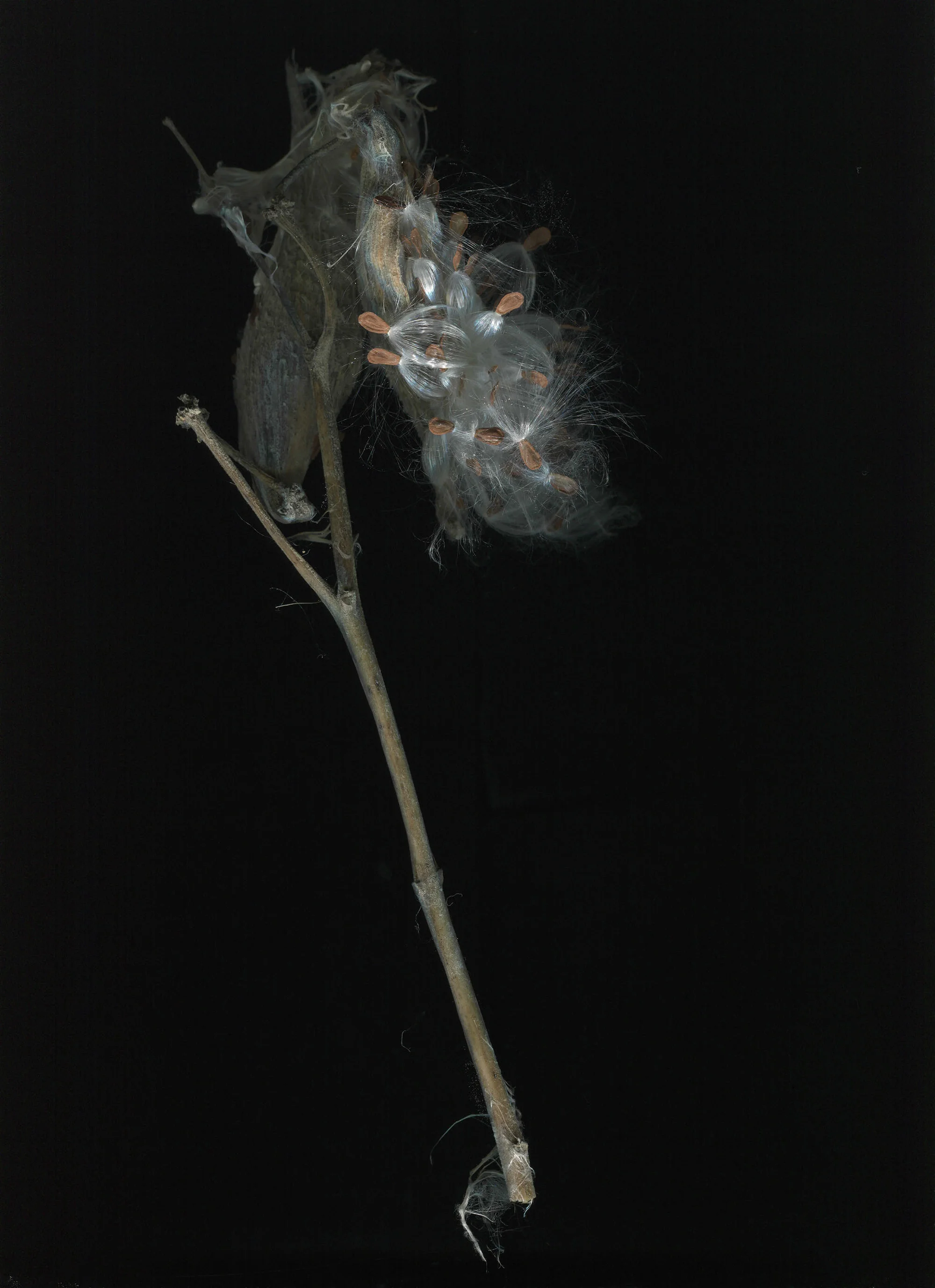 img024.jpg