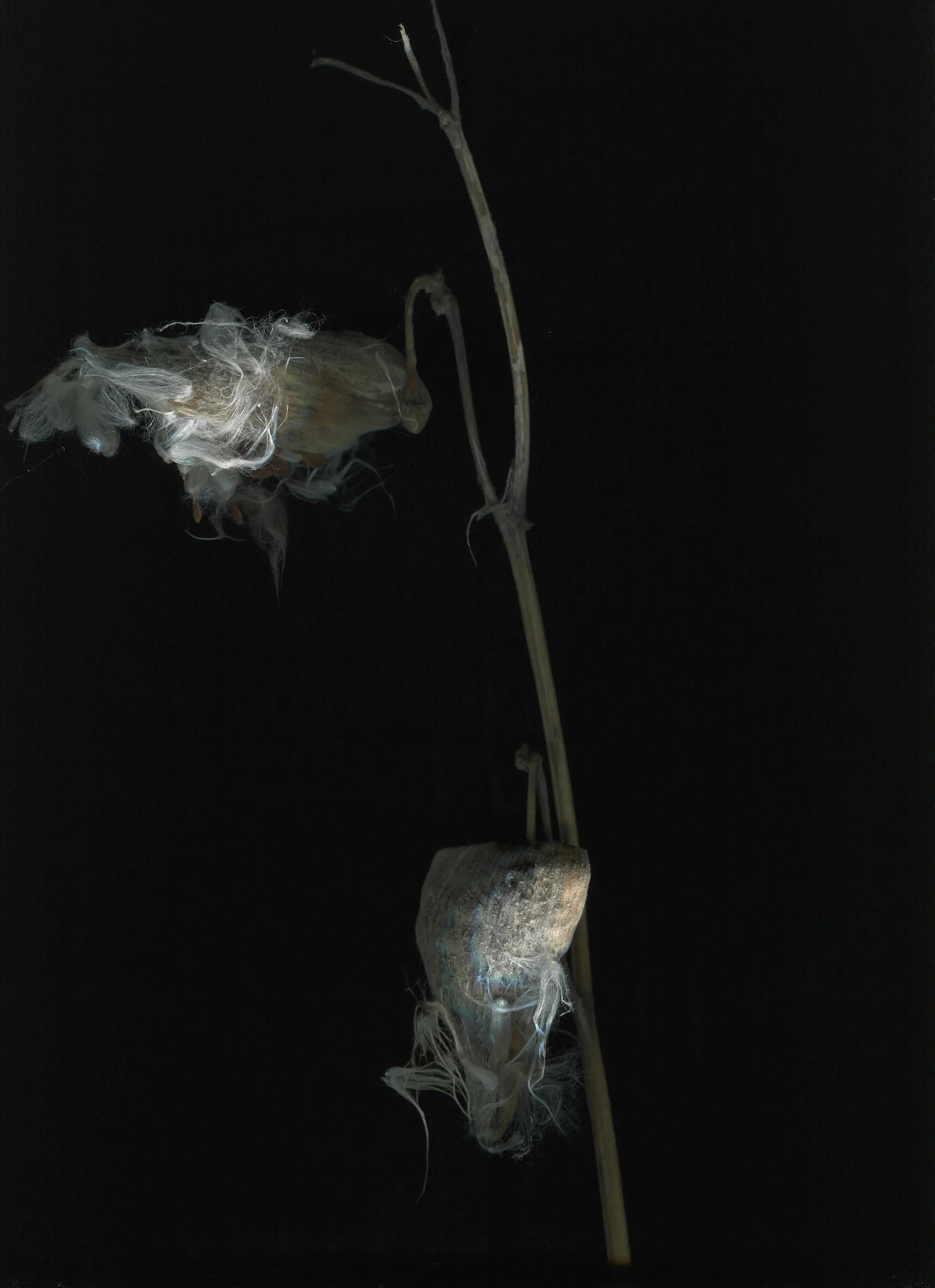 img022.jpg