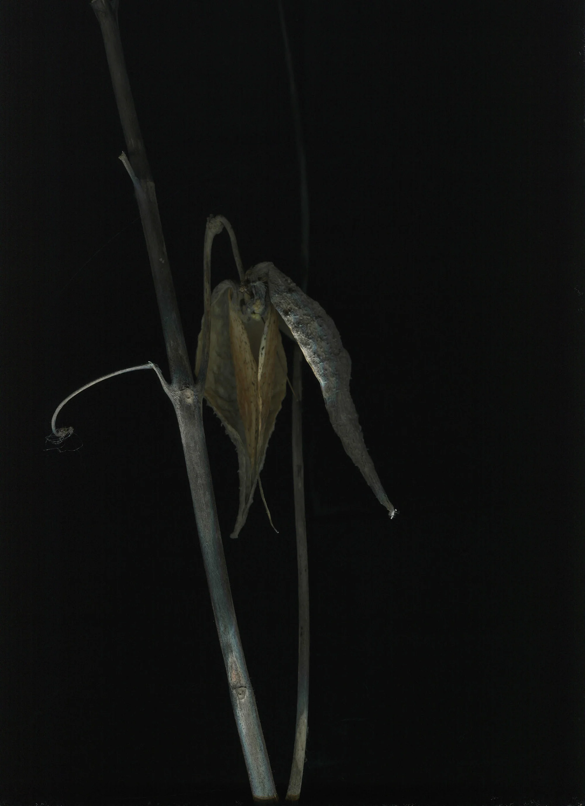 img037.jpg