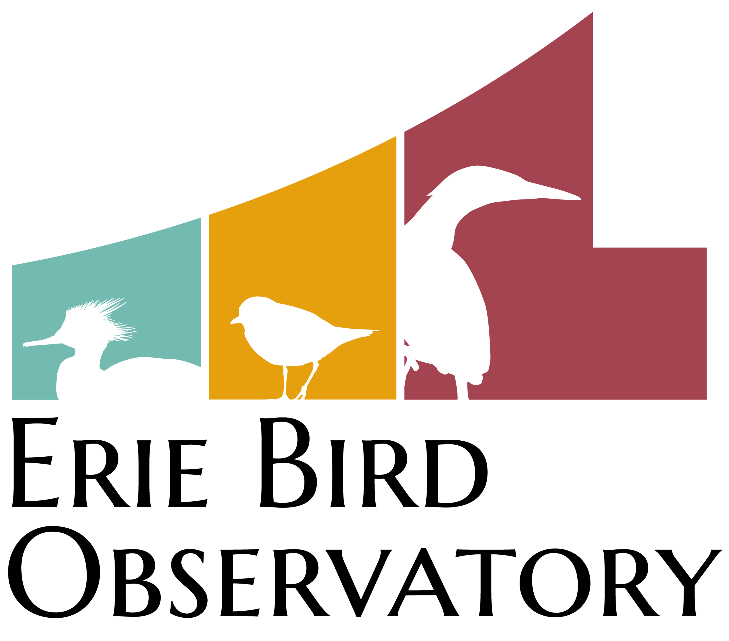 research-erie-bird-observatory