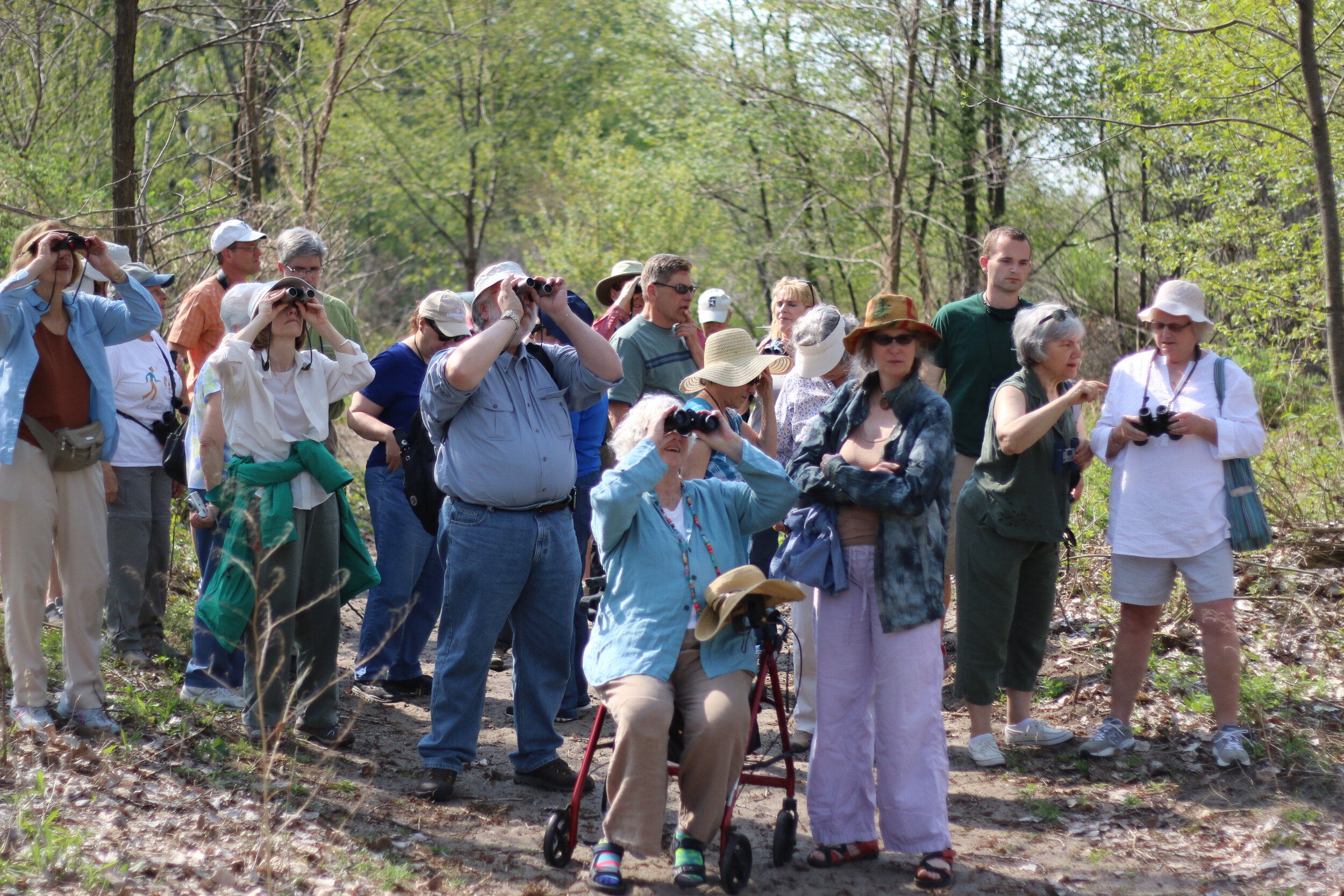 GO BIRDING!