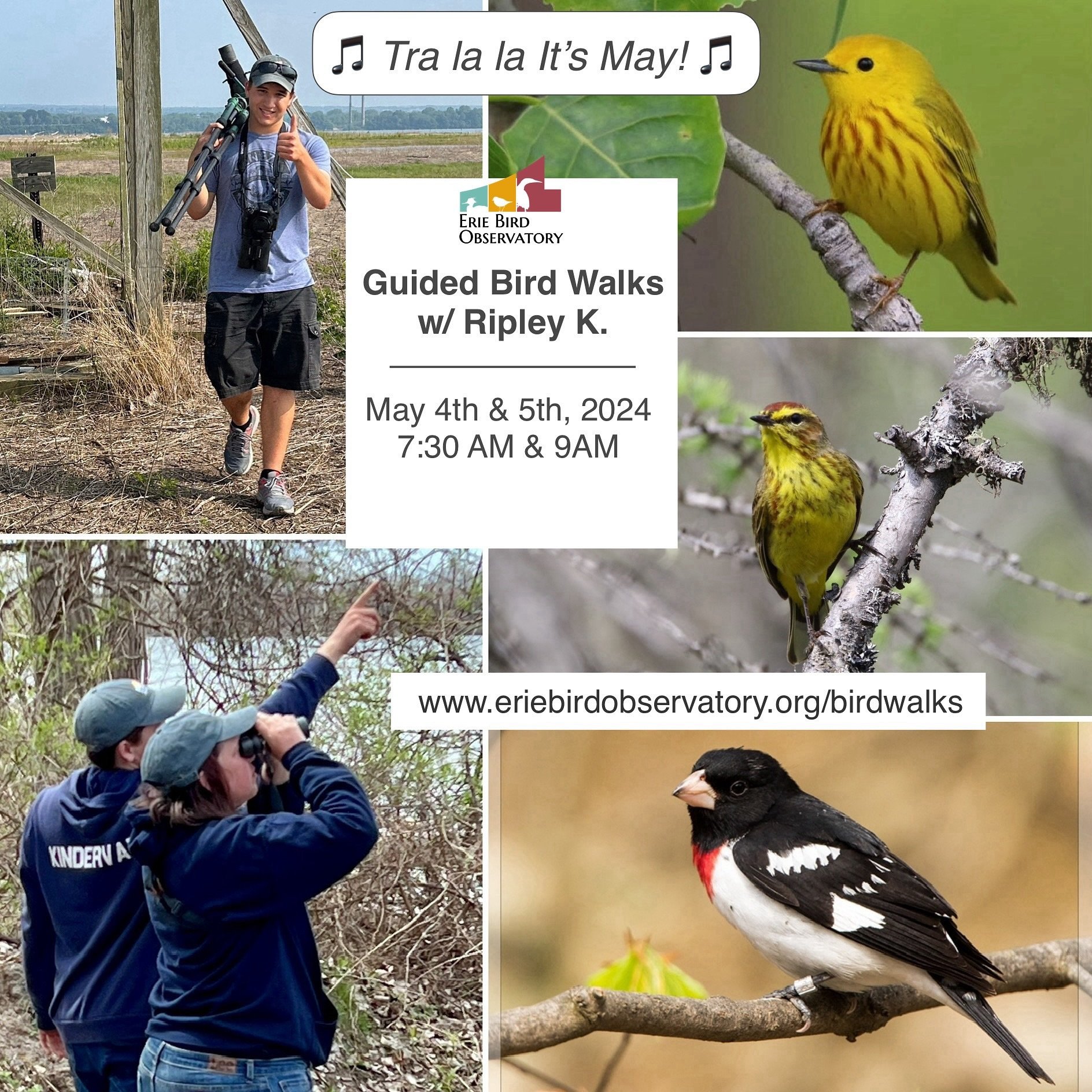 This is it, folks, the month we&rsquo;ve all been waiting for! Known for its amazing migration, May brings waves of #birds to our parks and yards. And to help kick off this most joyous time of year, EBO is offering not one, not two, but FOUR Guided B