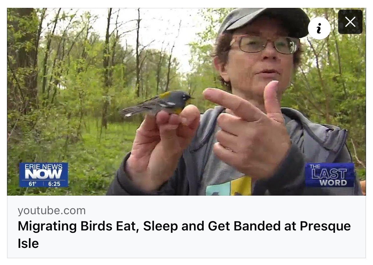 Hey, we know them! 🤩 
Thank you @ErieNewsNow for featuring EBO on THE LAST WORD and for highlighting the important work we do at our migratory bird banding station out on Presque Isle. 

Birds are a #joy meant to be shared and we thoroughly enjoyed 