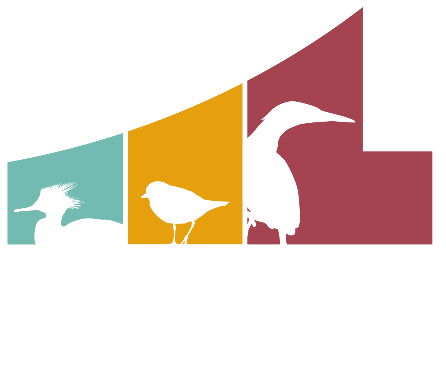 Erie Bird Observatory