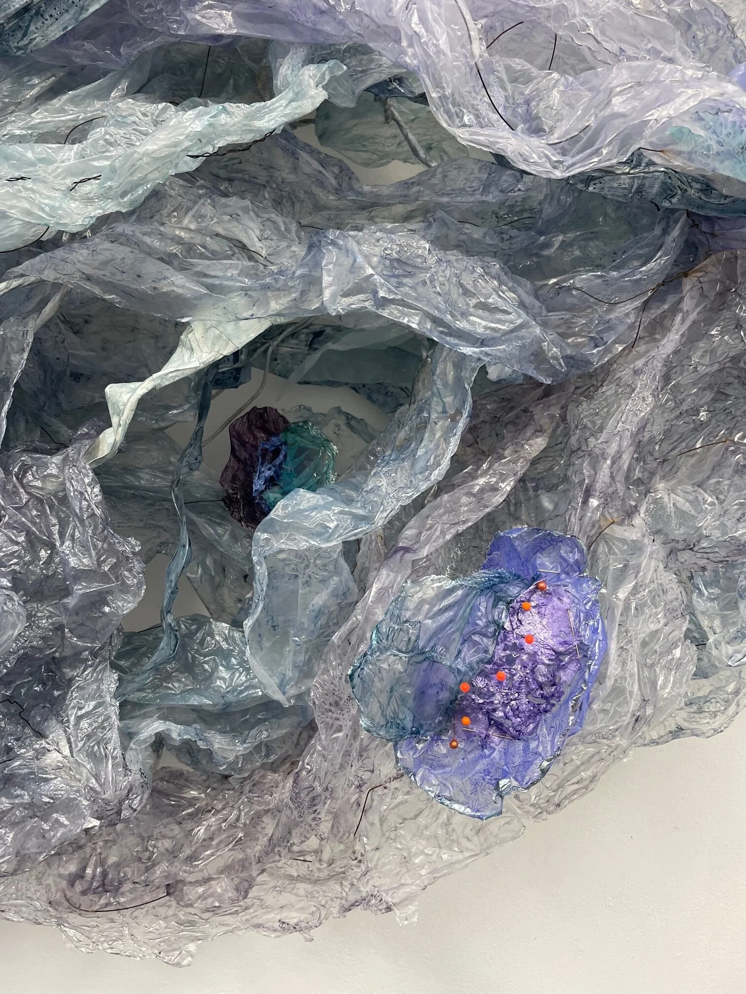 'Windswept' Artist Talk with Genie Davis