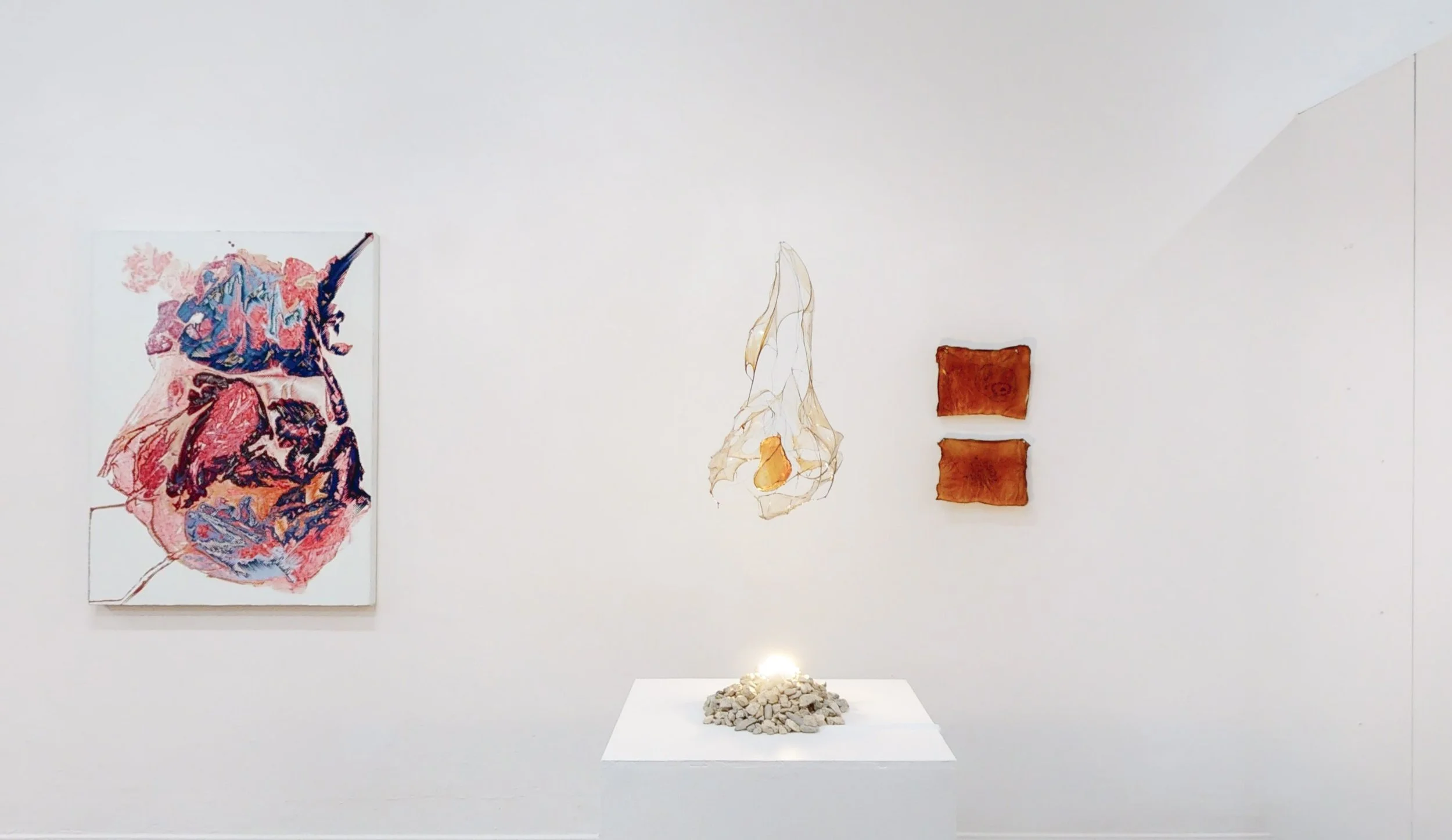 Wonzimer-Differential-Ontology-Group-Exhibition-06142021_122118.jpg