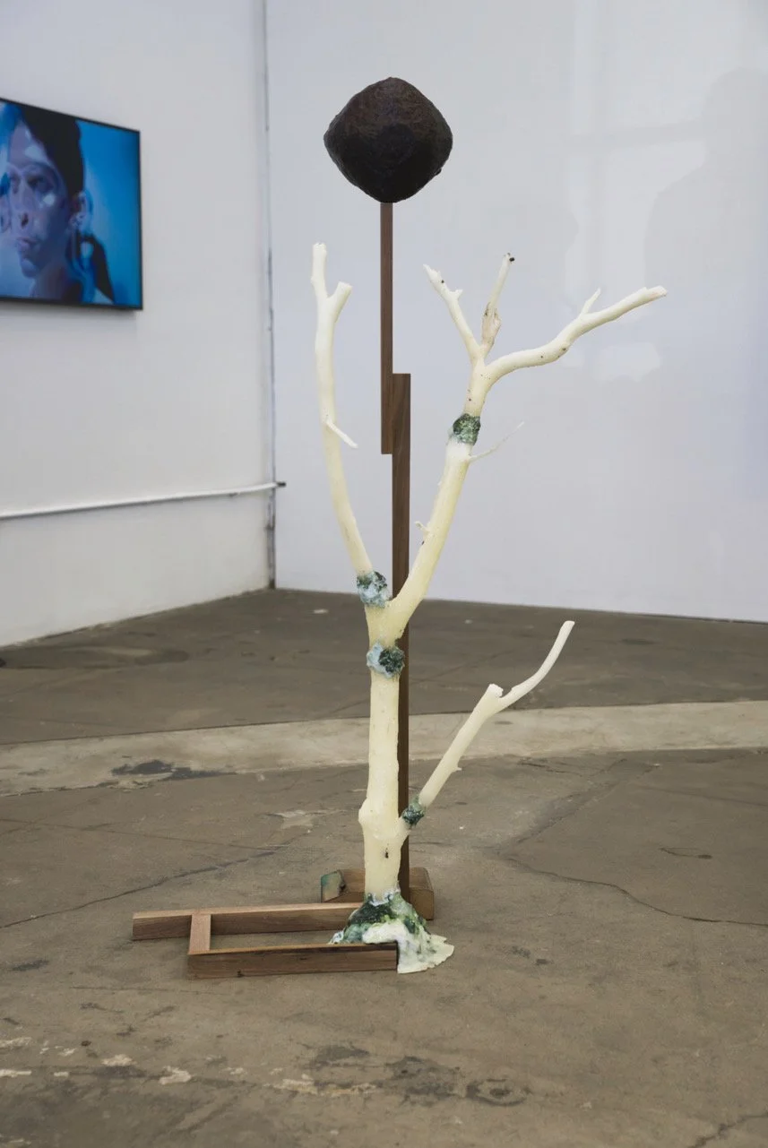 wonzimer-gallery-degree-zero-installation-view-13.jpeg