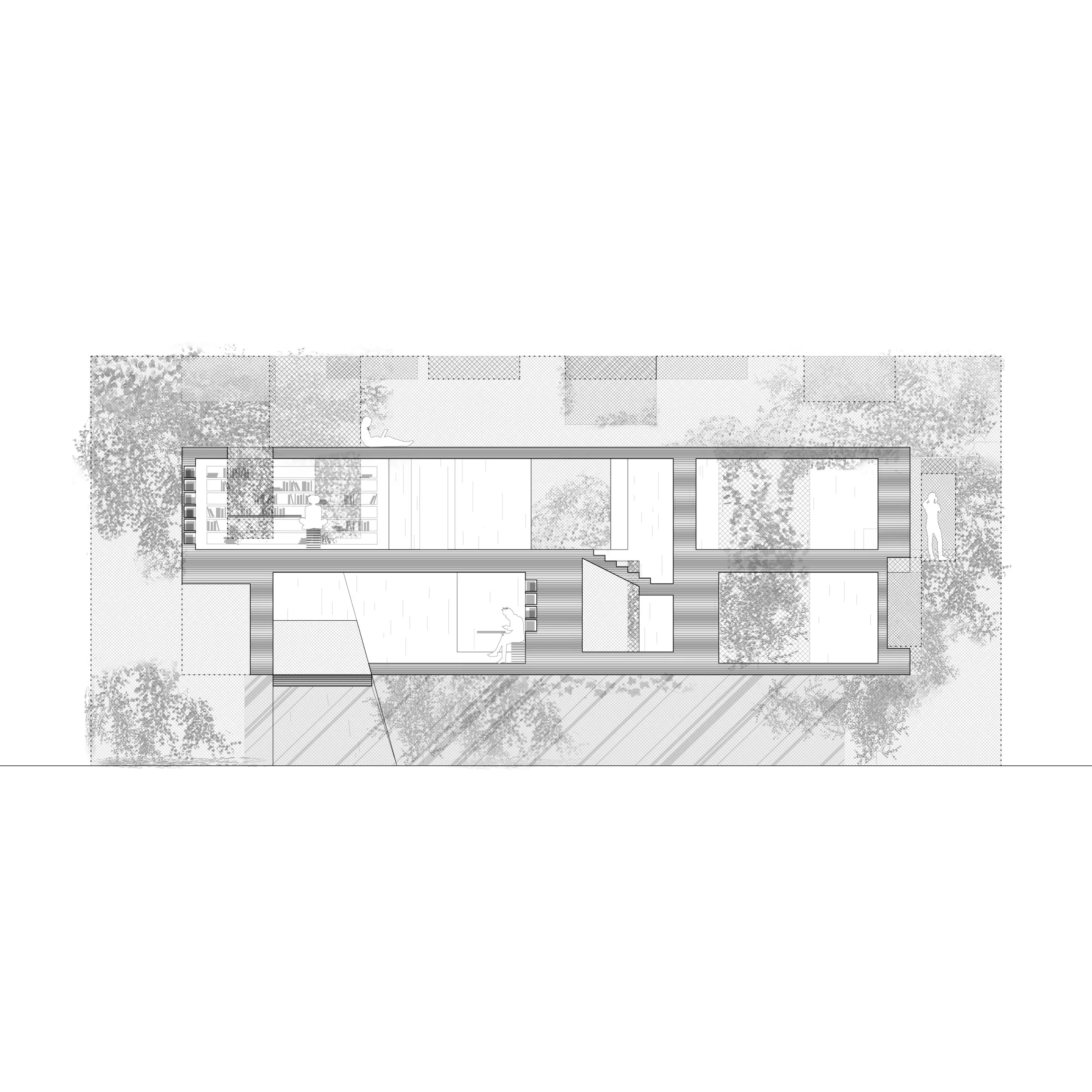 sectionF-01.jpg