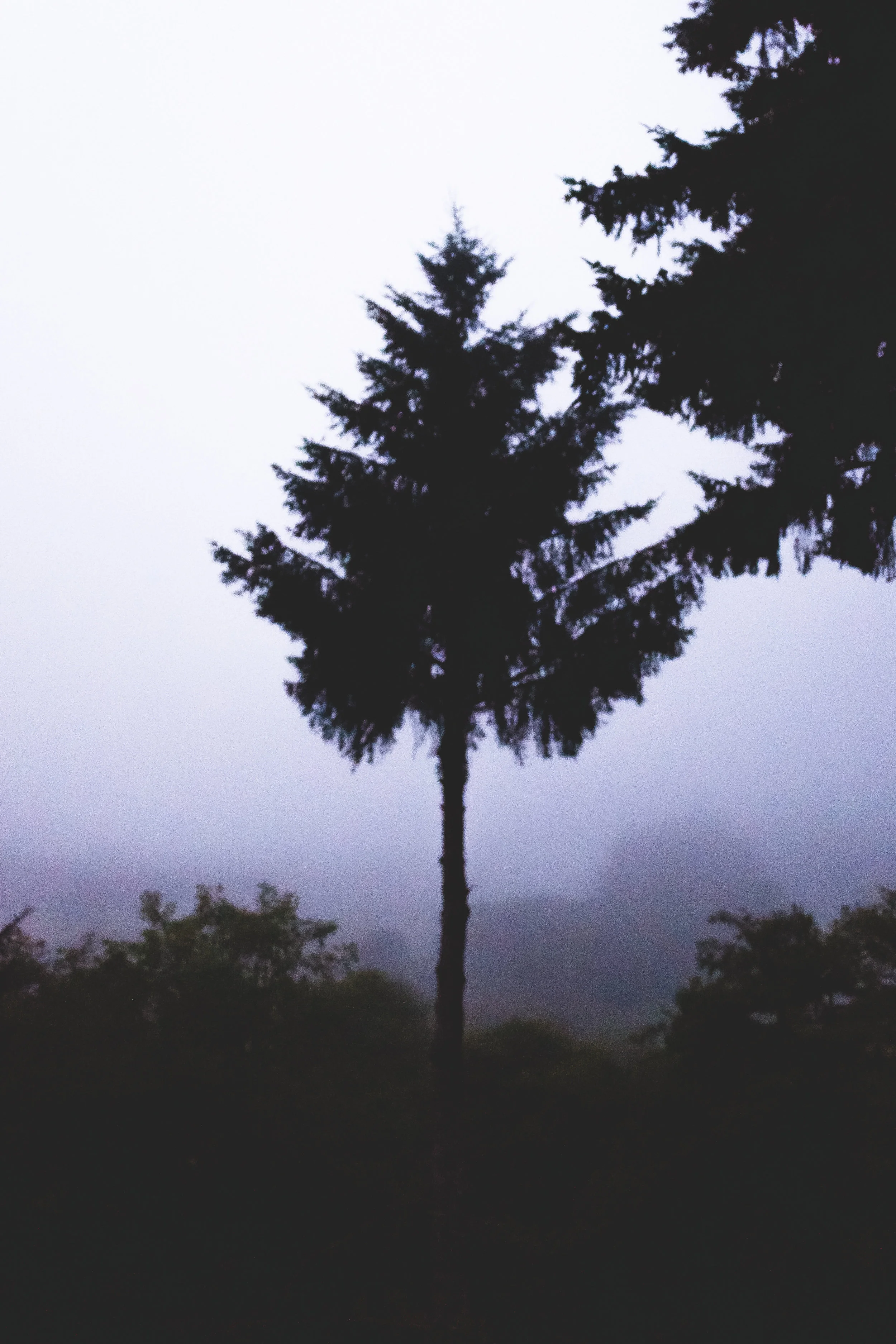 PS_Photo-44.jpg