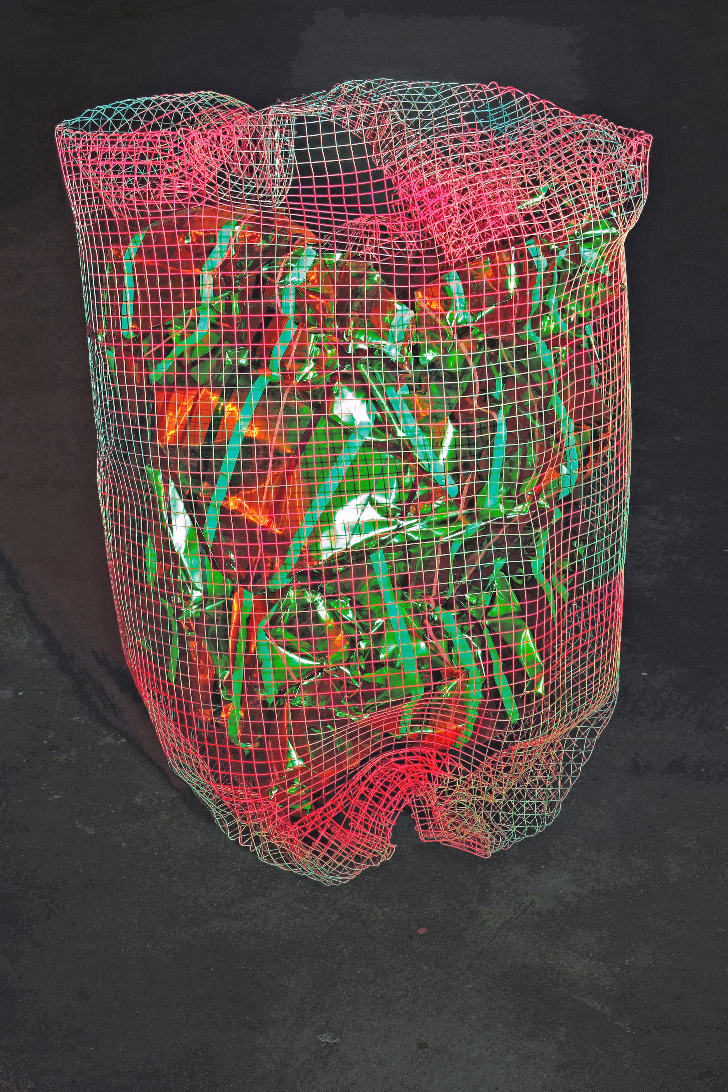 mesh_0000_Layer 3.jpg