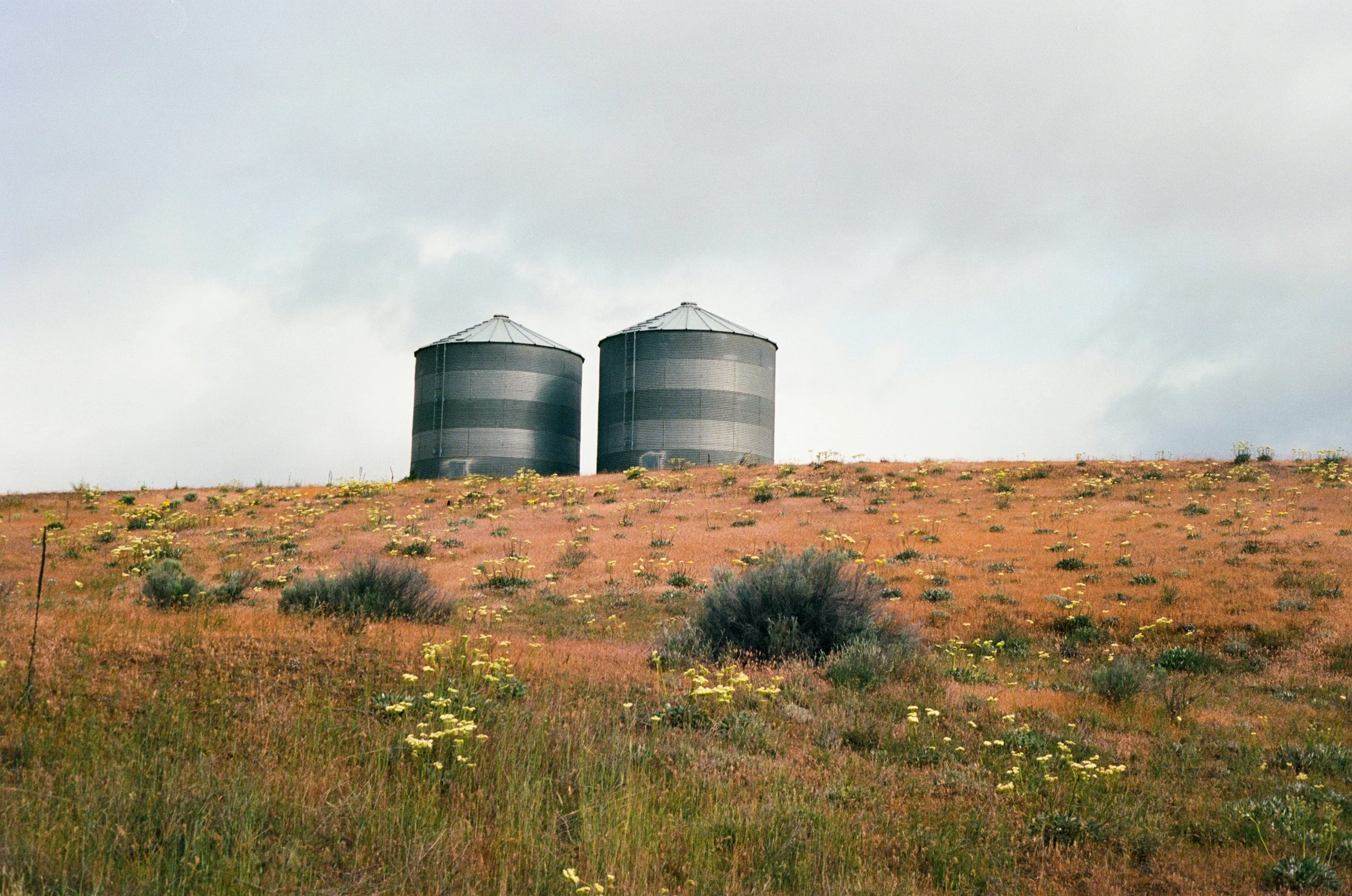DESCHUTES01.jpg