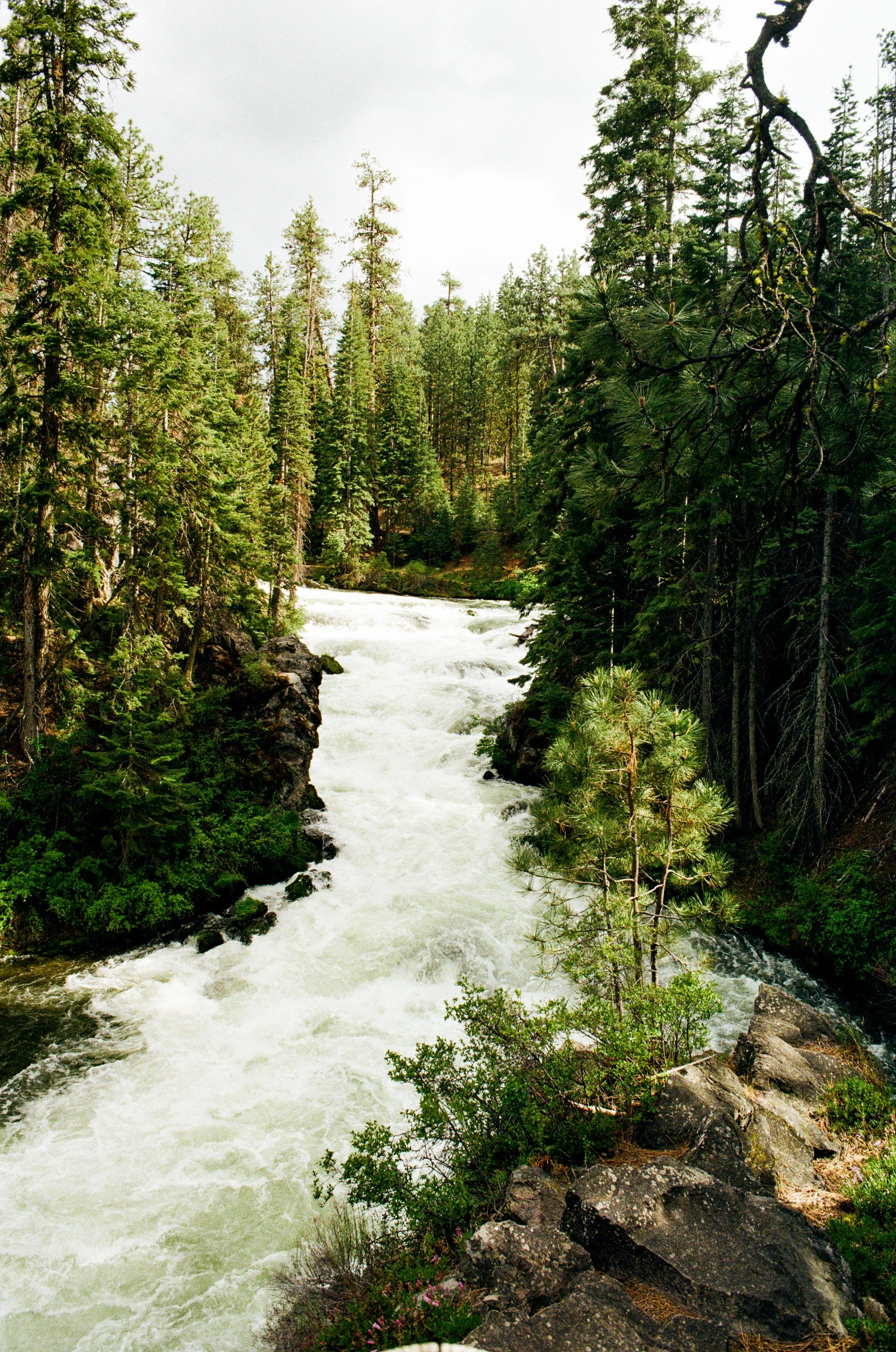 DESCHUTES26-13.jpg