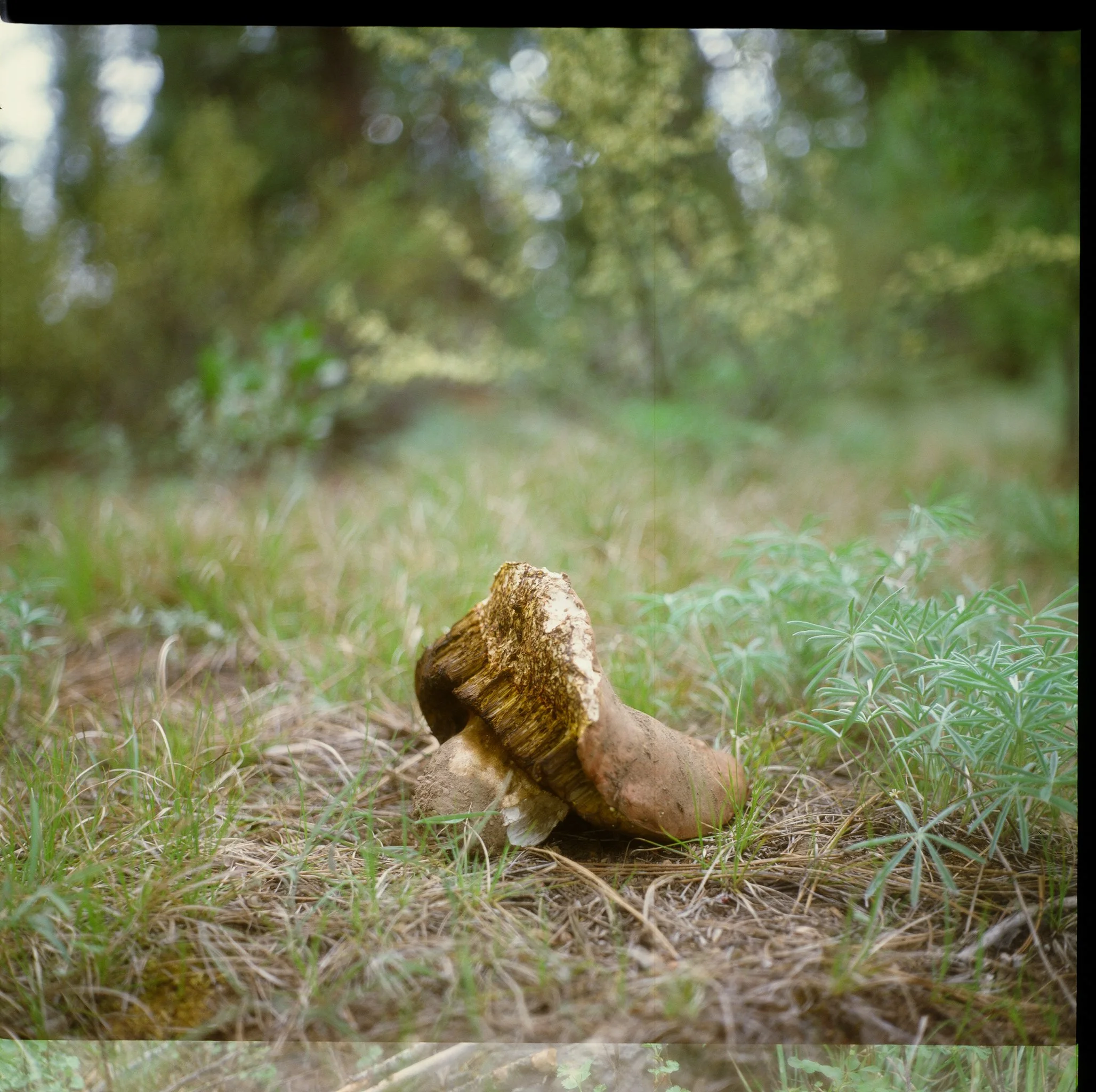 DESCHUTES26-44.jpg