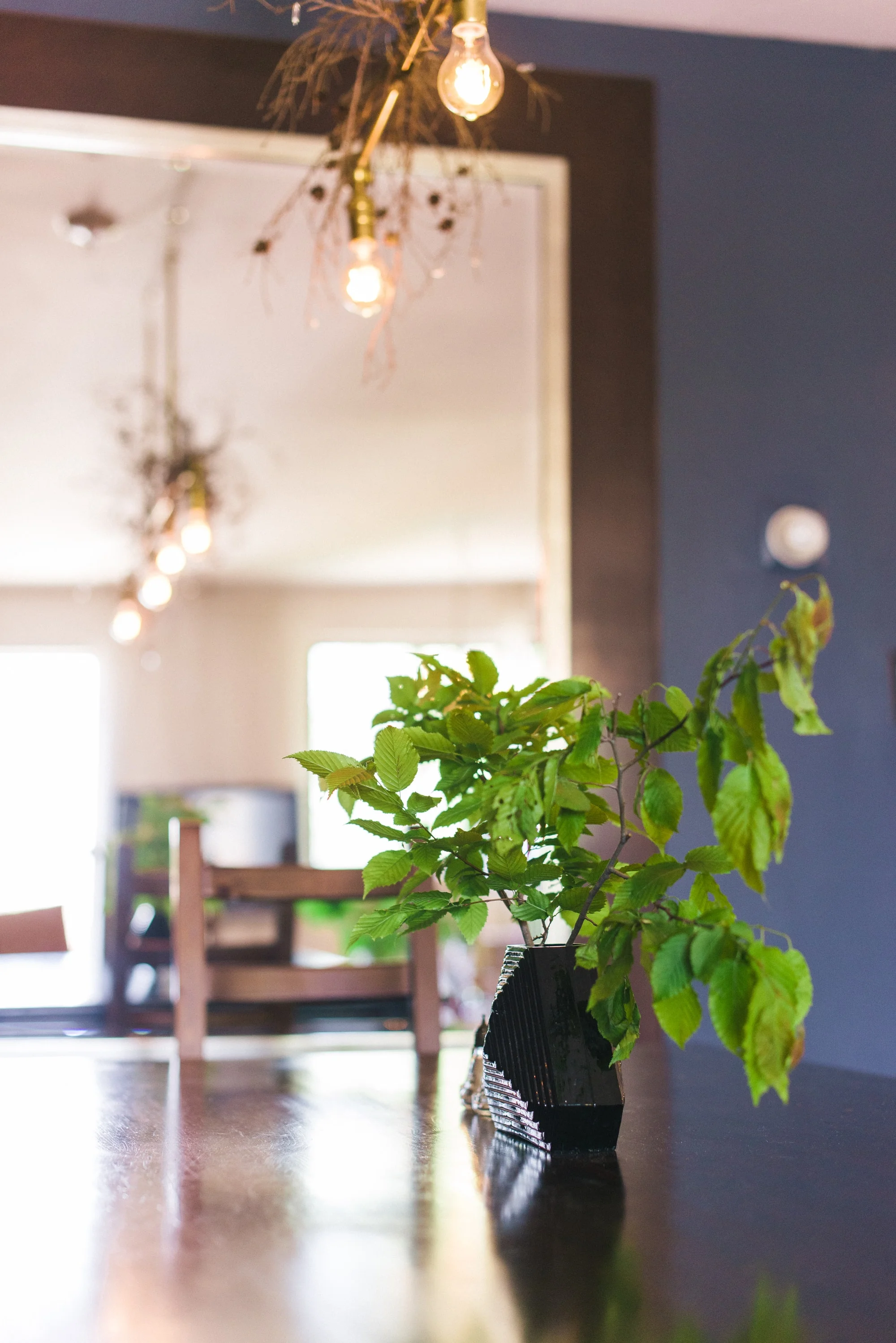 Dining room table with potted plant