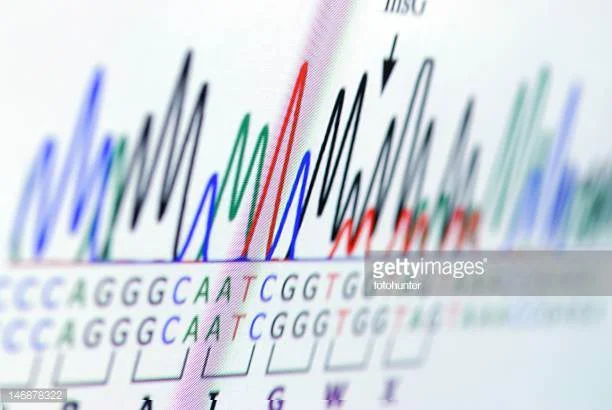 Photo by fotohunter/iStock / Getty Images