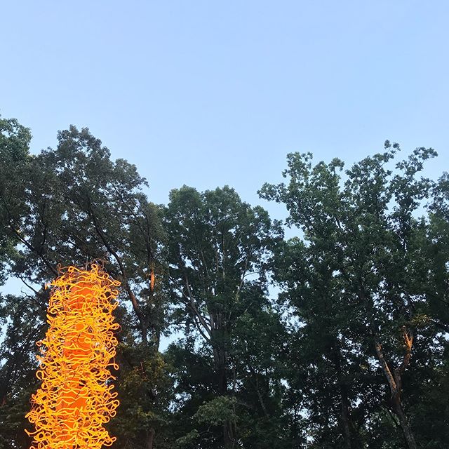 Atlanta is so lush and I&rsquo;m really channeling my inner landscape architect. 🌳🌺🌸🌻🌼