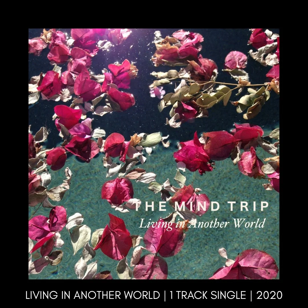 THE MIND TRIP-LIVING IN ANOTHER WORLD.jpg