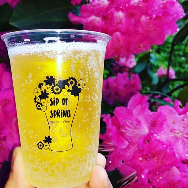 Tomorrow 11-9! At the Sip of Spring you can also sip cider from @baumanscider. They created two amazing options: English Huckleberry and StrawPerry. Check out the rest of what's pouring at sipofspring.com.