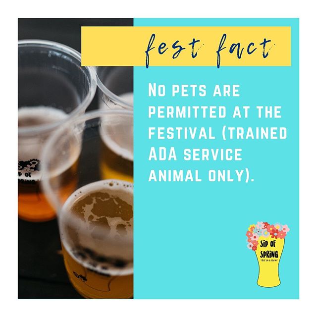 Sip of Spring is happening TODAY May 18th 11-9! Here are some friendly fest facts before you go! Any questions? Shoot us a message! #sipofspring