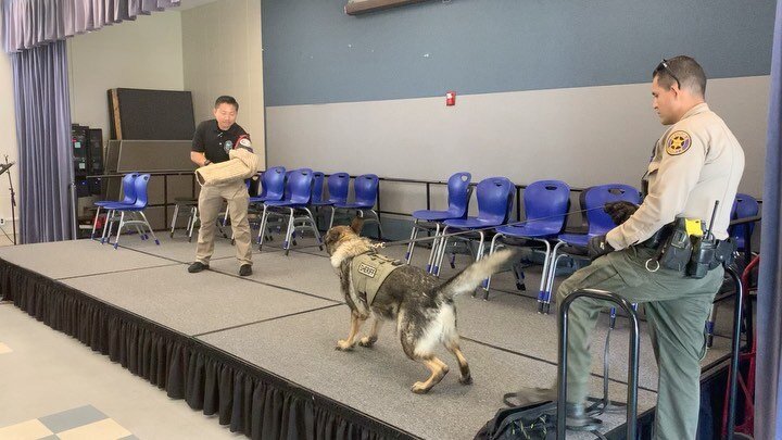 Today, @vcsheriff &rsquo;s K-9 unit, Canine Deputy Bautista and his Canine, &ldquo;Sam,&rdquo; gave a class to our Explorer Recruits at the Explorer Academy. 

Towards the end , Deputy Alnwick and Officer Cheng took a bite from Sam.

He was a very go