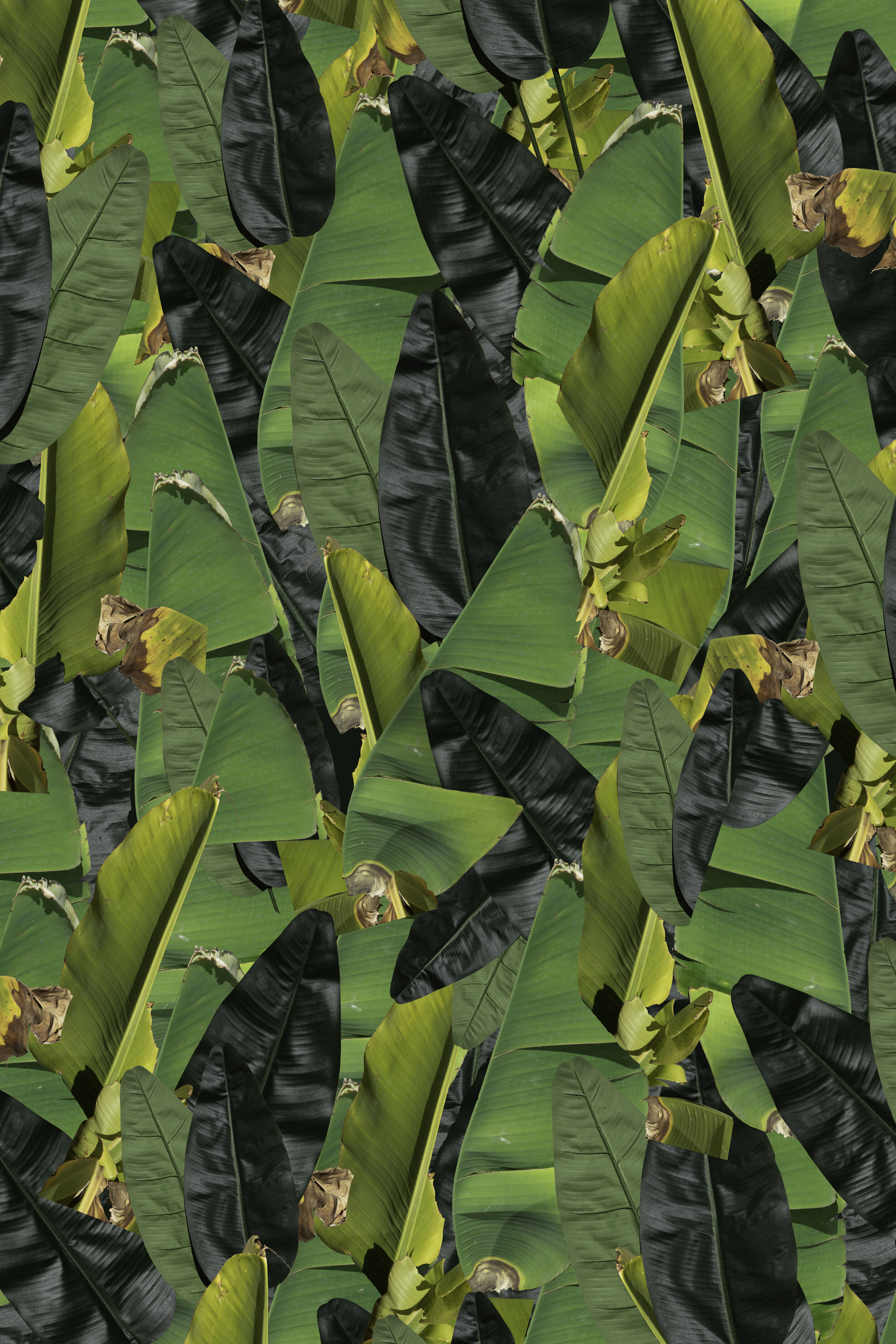 1 Plastic Planet Palms.jpg