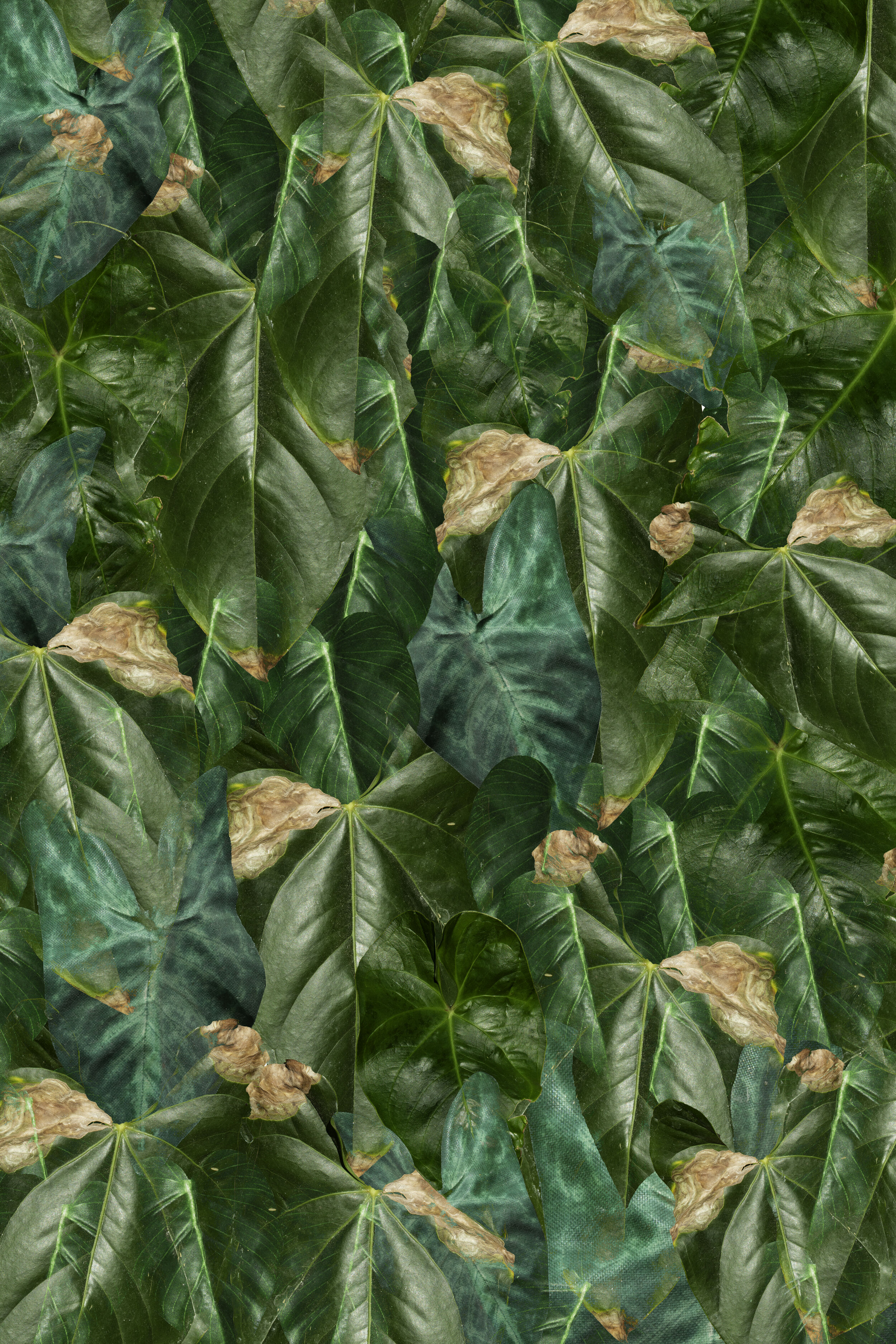 2 Plastic Planet Plants 3.jpg