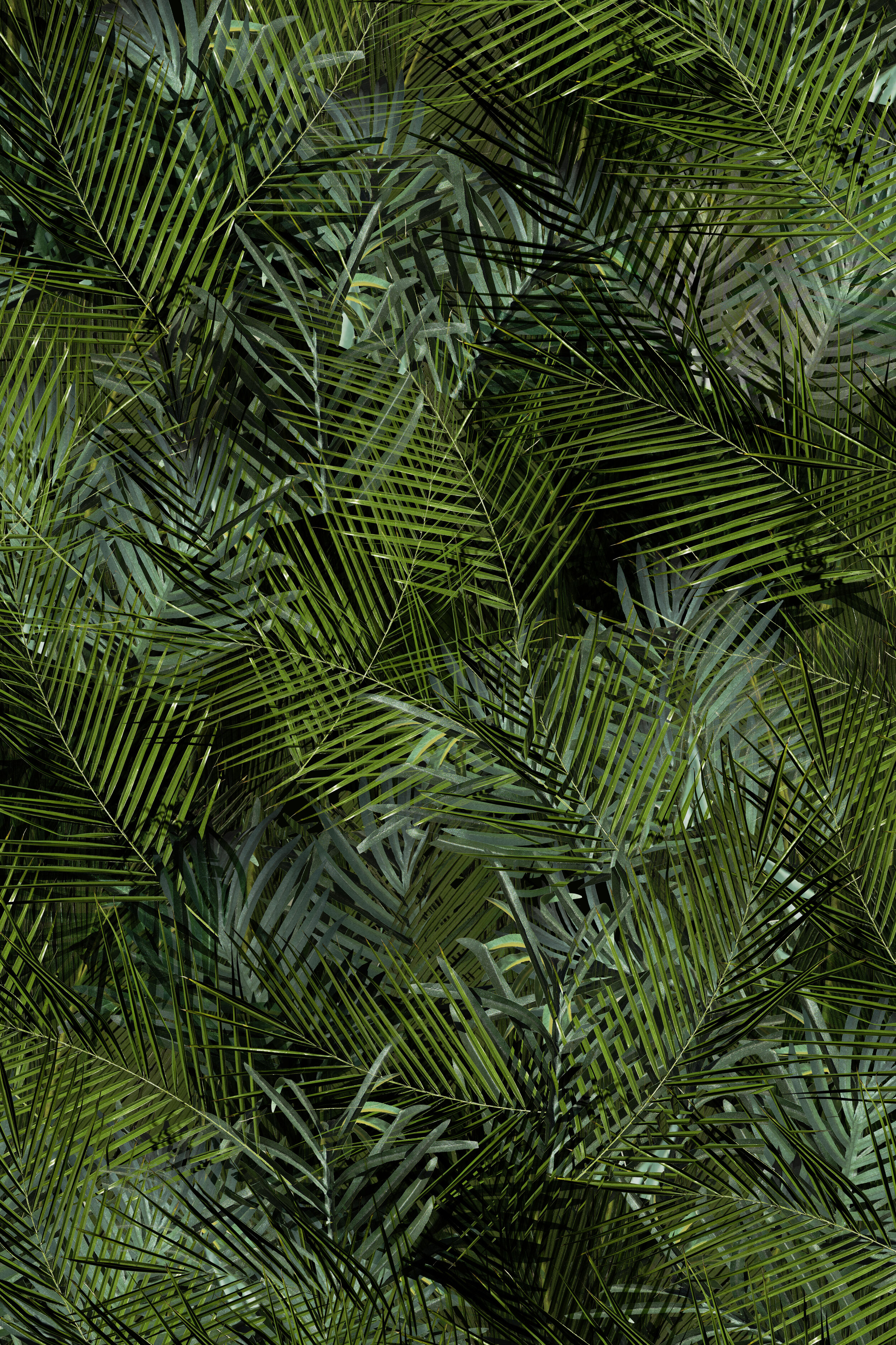 3 Plastic Planet Palms 2.jpg