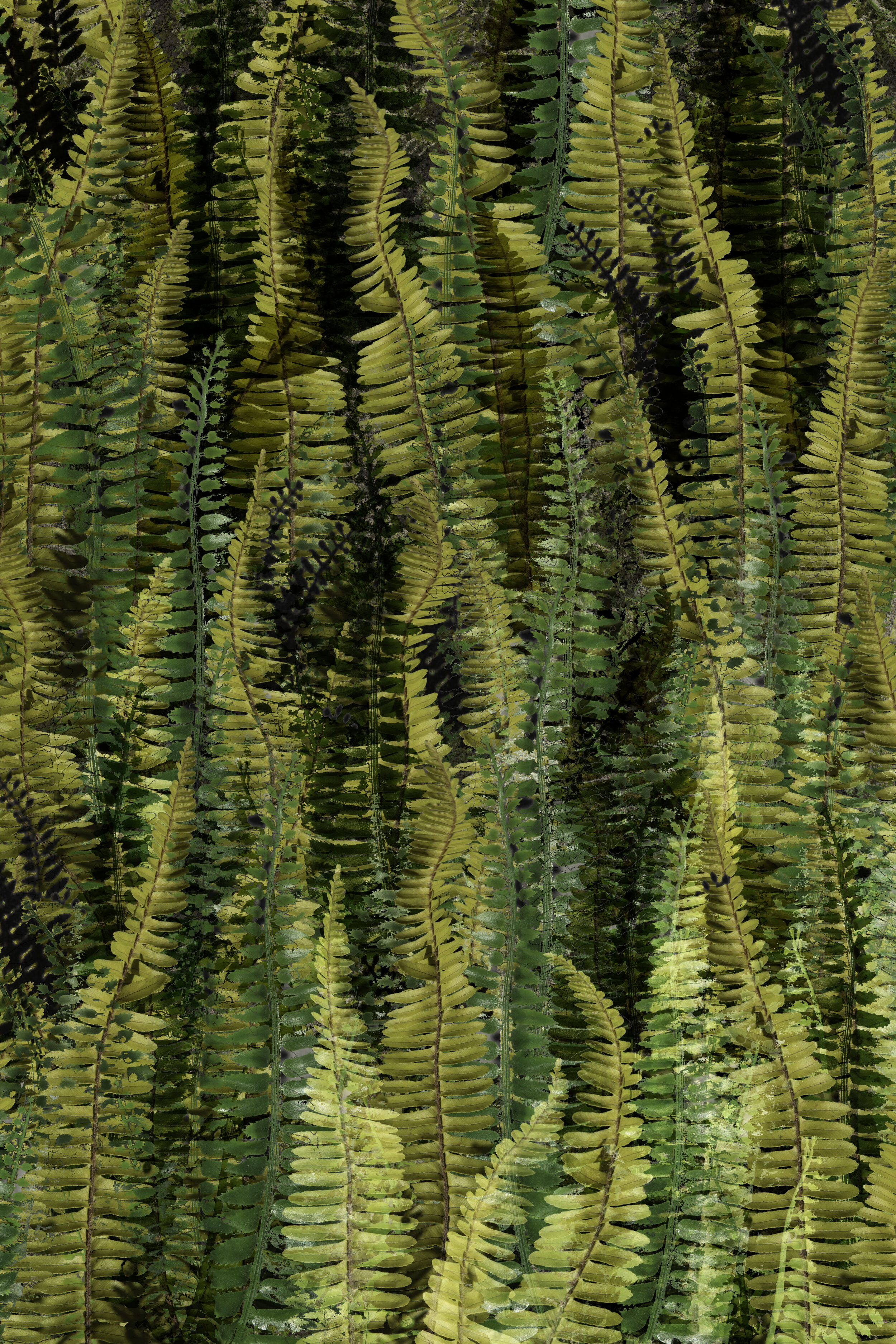 5 Plastic Planet Ferns.jpg