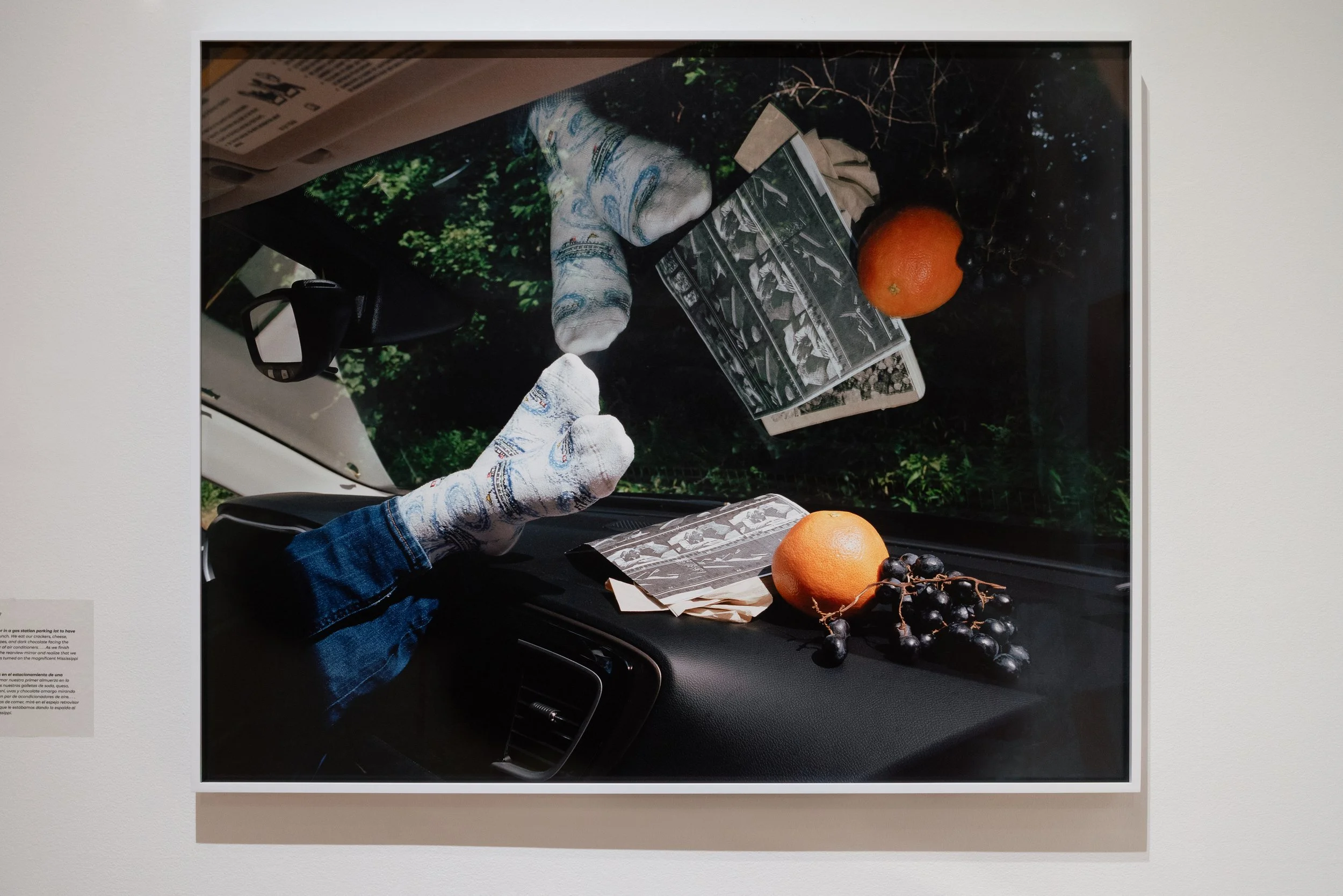 Elmhurst Art Museum_Living_in_Modernism_Lizzie Moo_photographer_courtesy_of_Elmhurst_Art_Museum_243.jpg