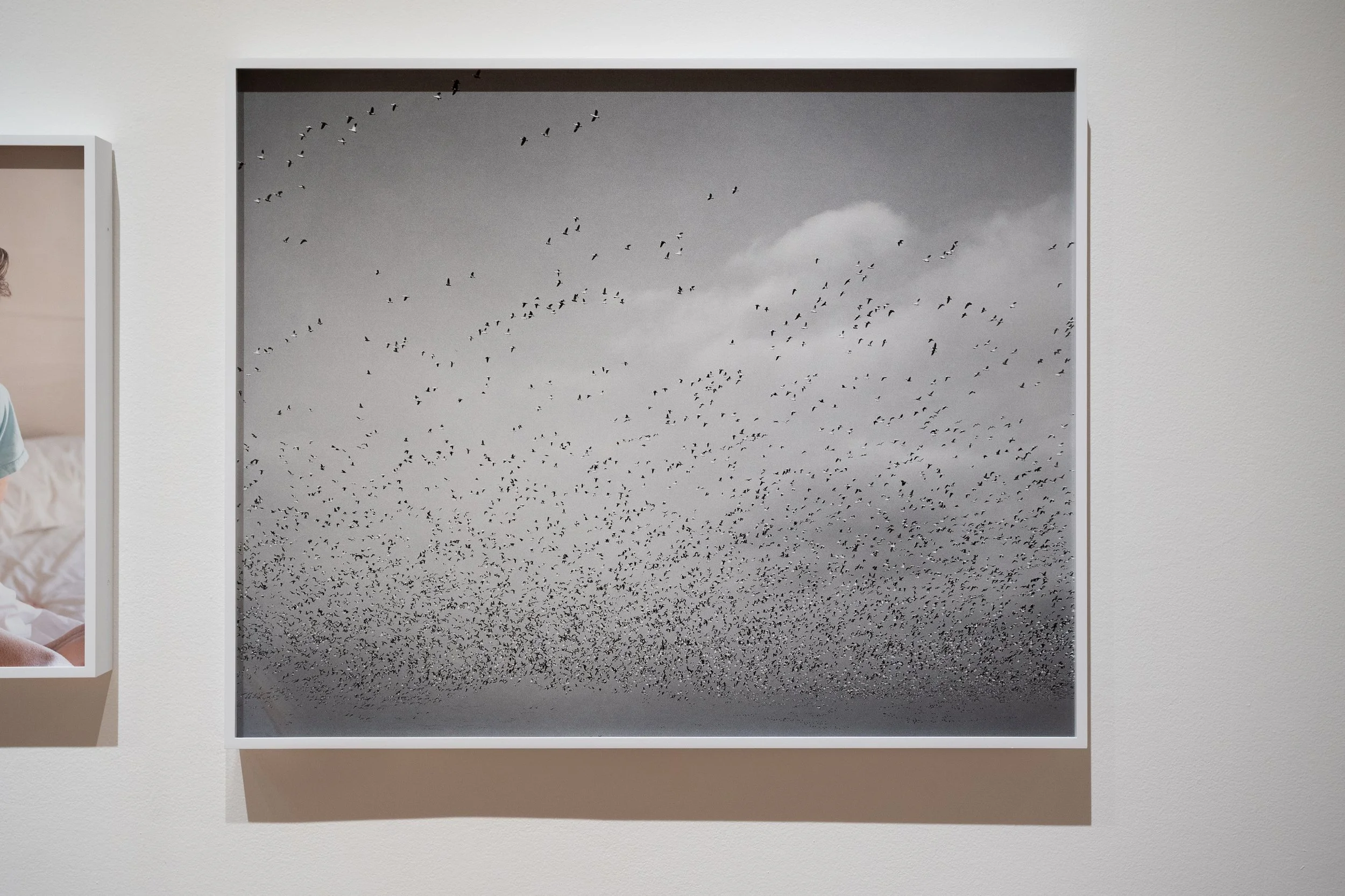 Elmhurst Art Museum_Living_in_Modernism_Lizzie Moo_photographer_courtesy_of_Elmhurst_Art_Museum_277.jpg