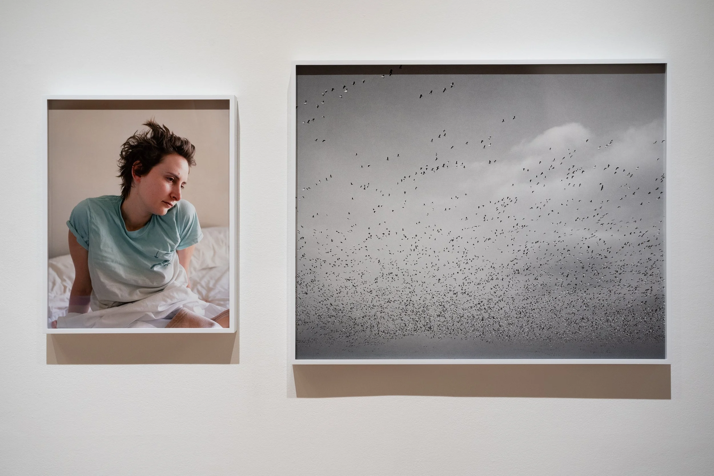 Elmhurst Art Museum_Living_in_Modernism_Lizzie Moo_photographer_courtesy_of_Elmhurst_Art_Museum_286-2.jpg