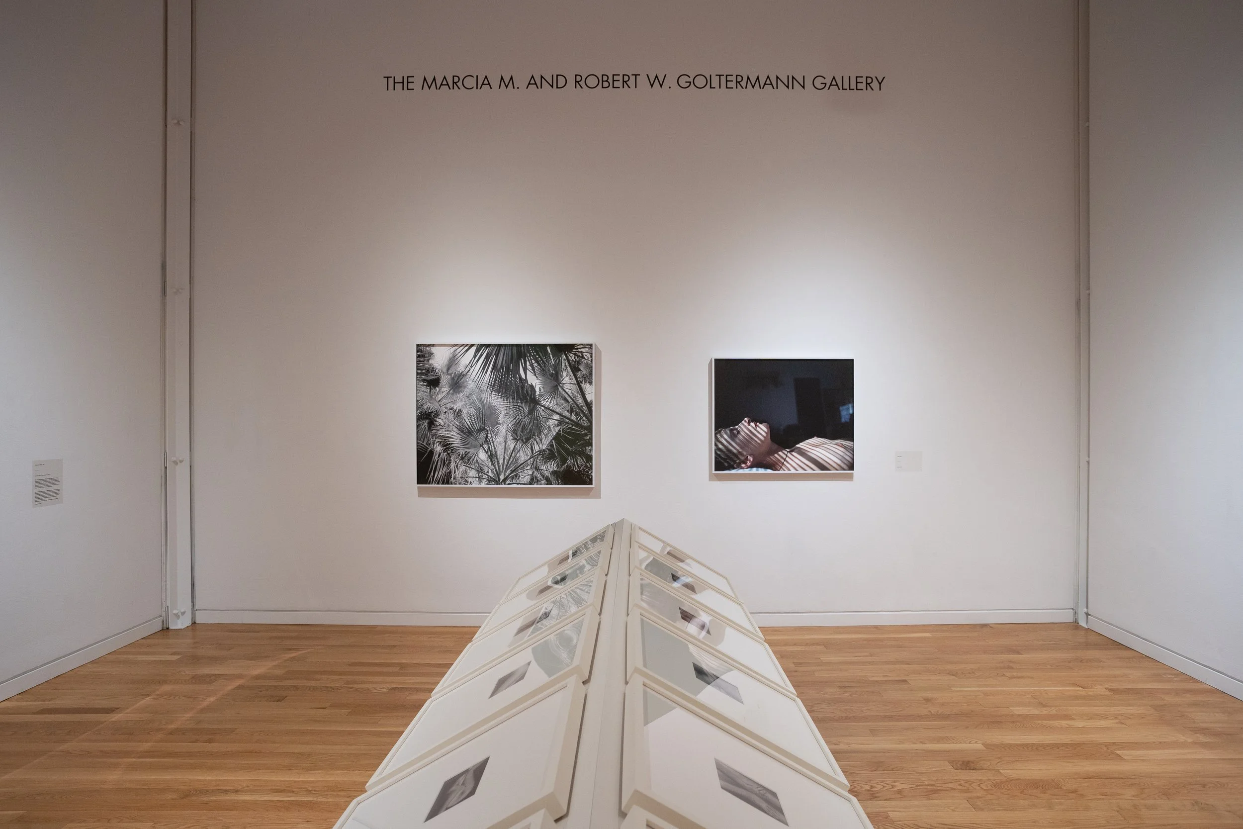 Elmhurst Art Museum_Living_in_Modernism_Lizzie Moo_photographer_courtesy_of_Elmhurst_Art_Museum_03363.jpg