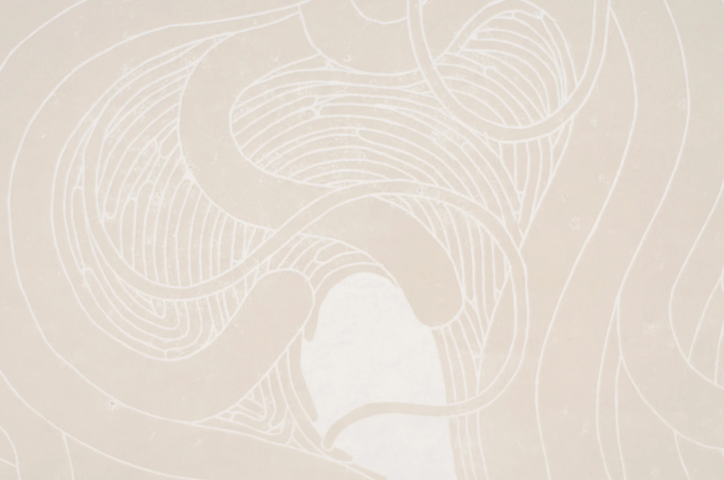 Detail of Abyss 005